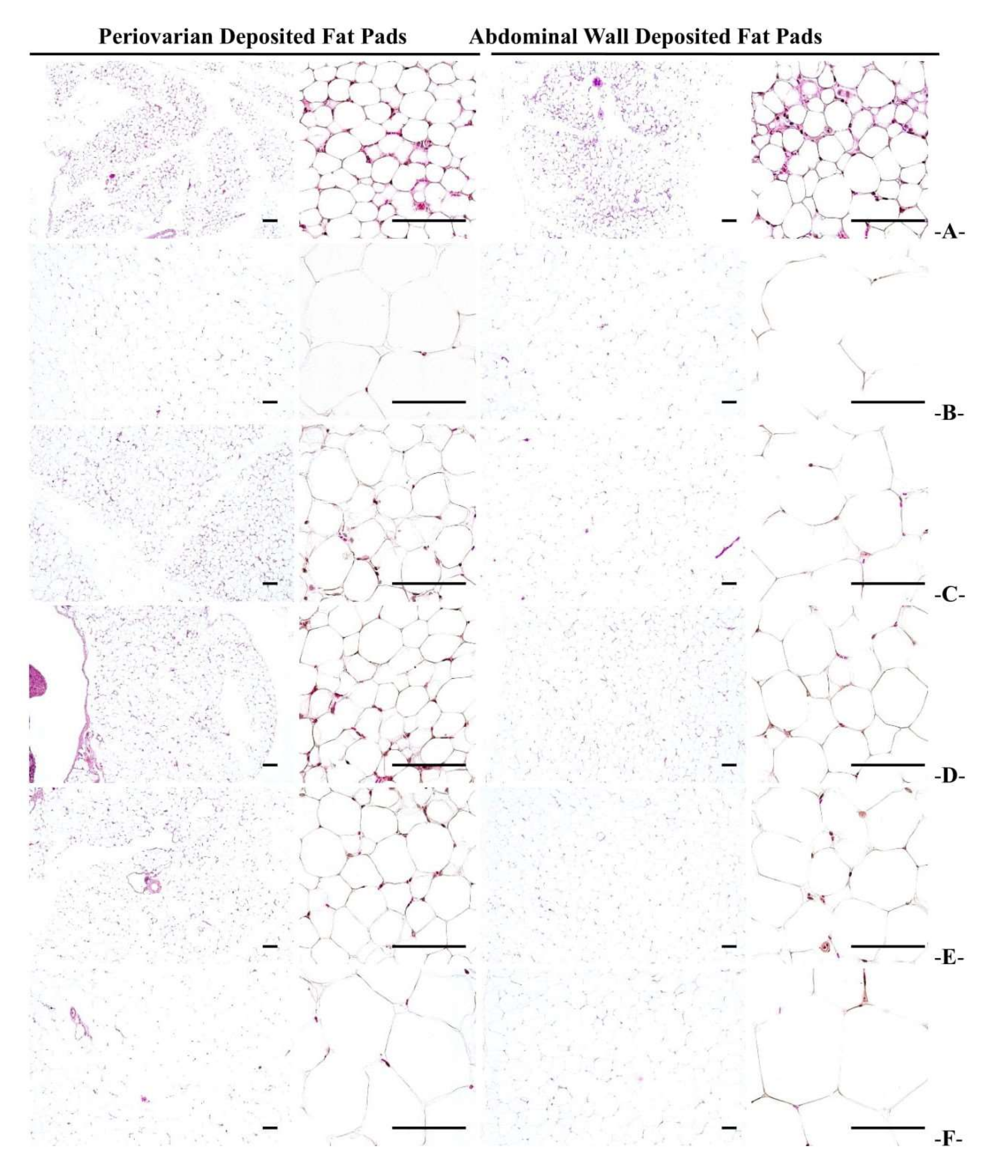 Medicina 58 00189 g006