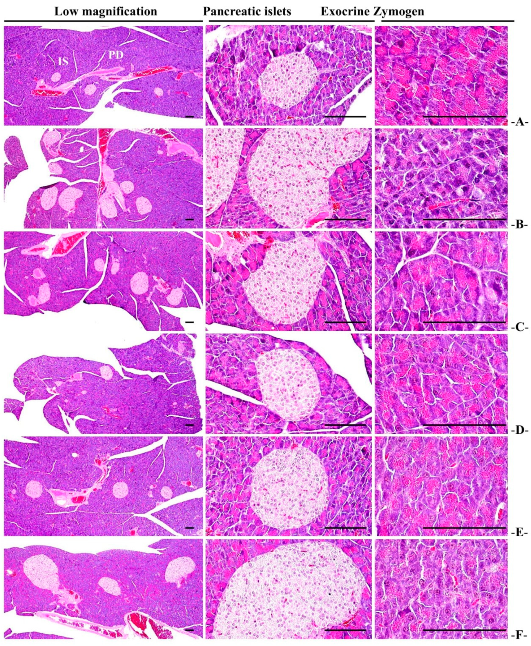 Medicina 58 00189 g007