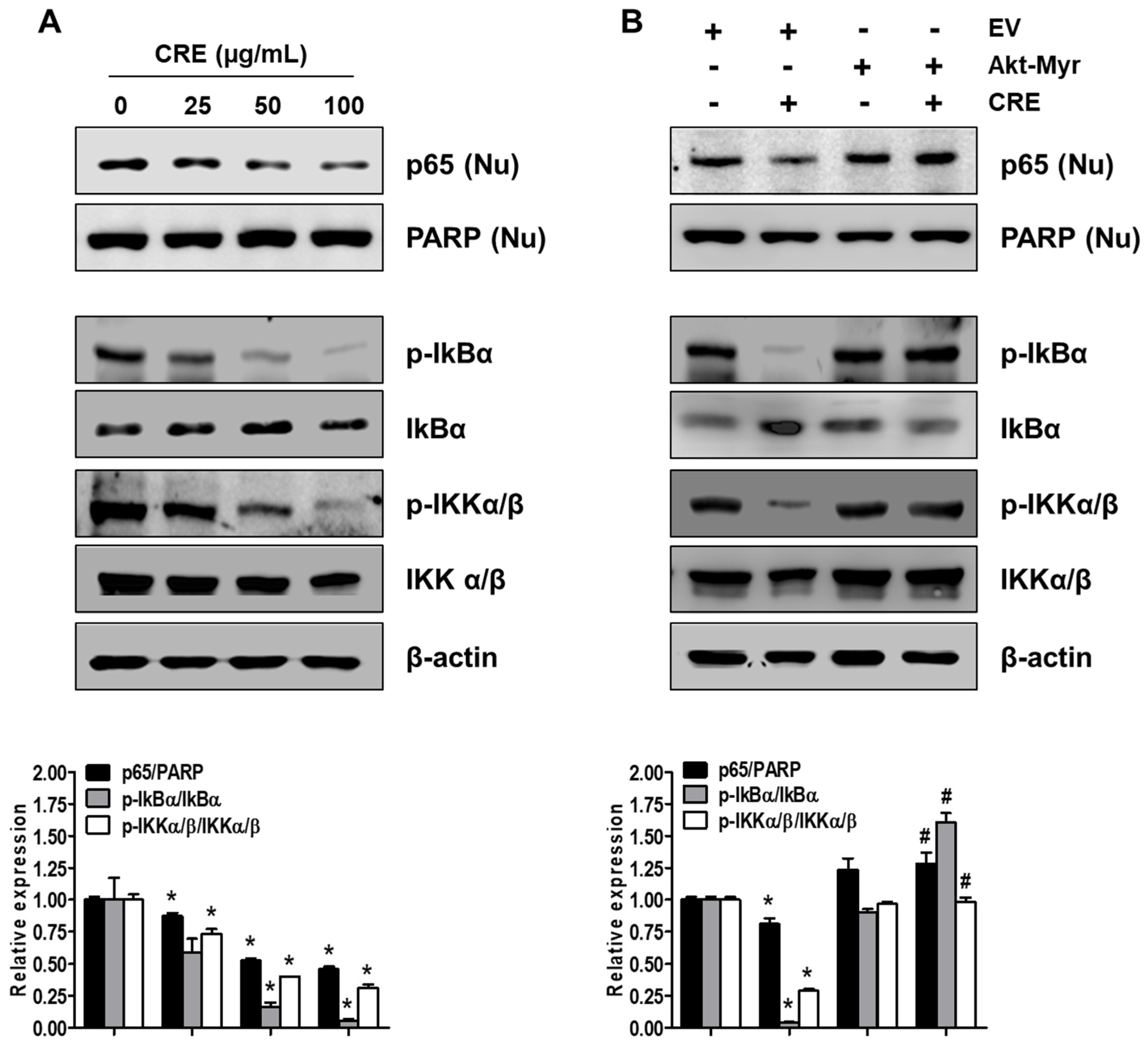 Medicina 58 00335 g006