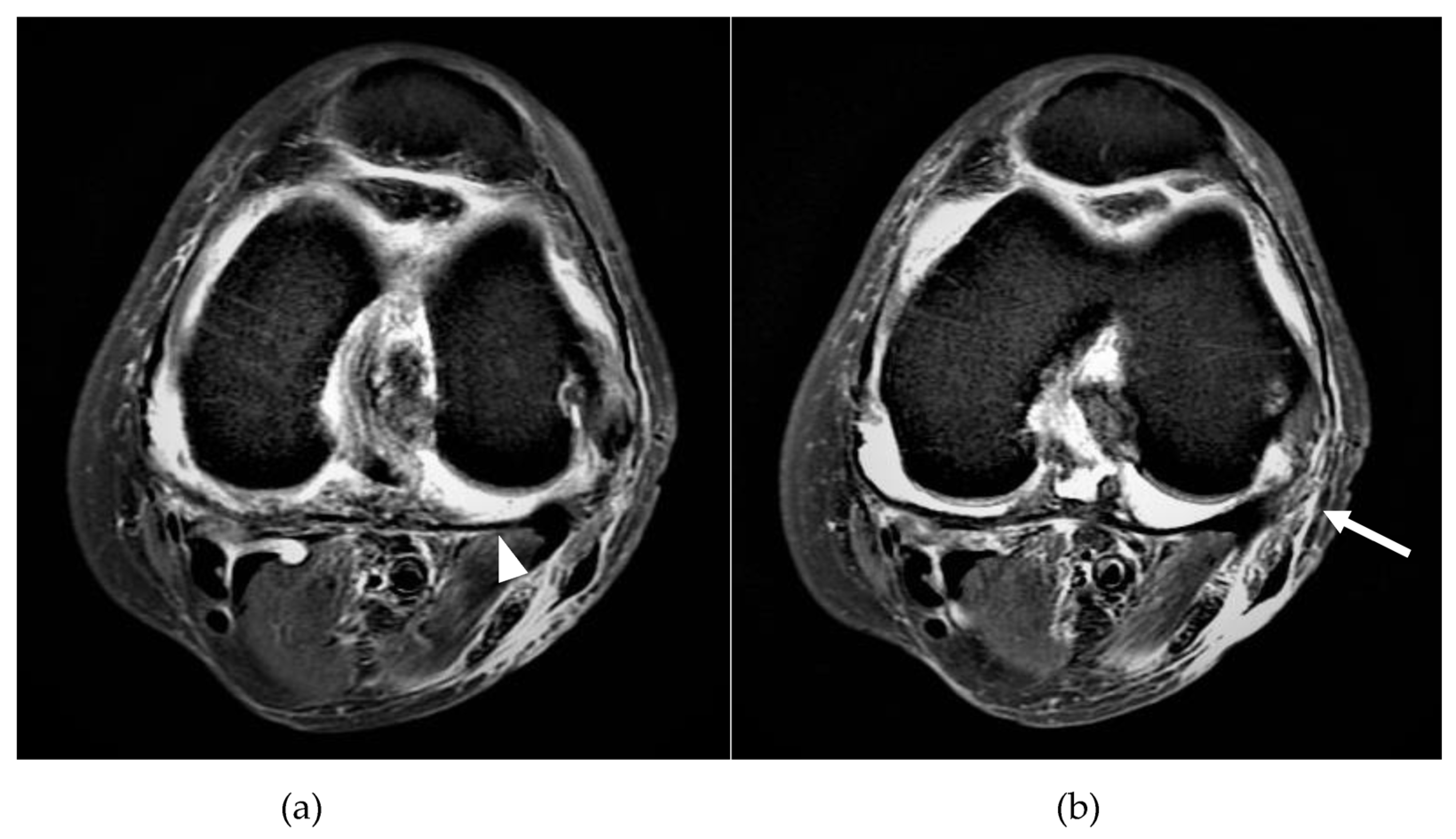 Medicina 58 00401 g001