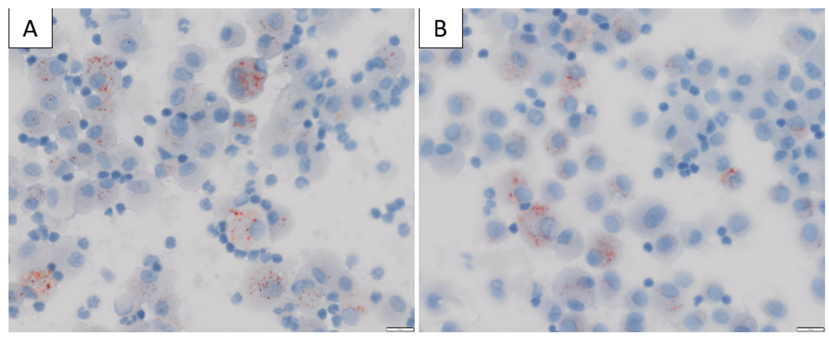 Medicina 58 00412 g003 Medicina 58 00412 g003