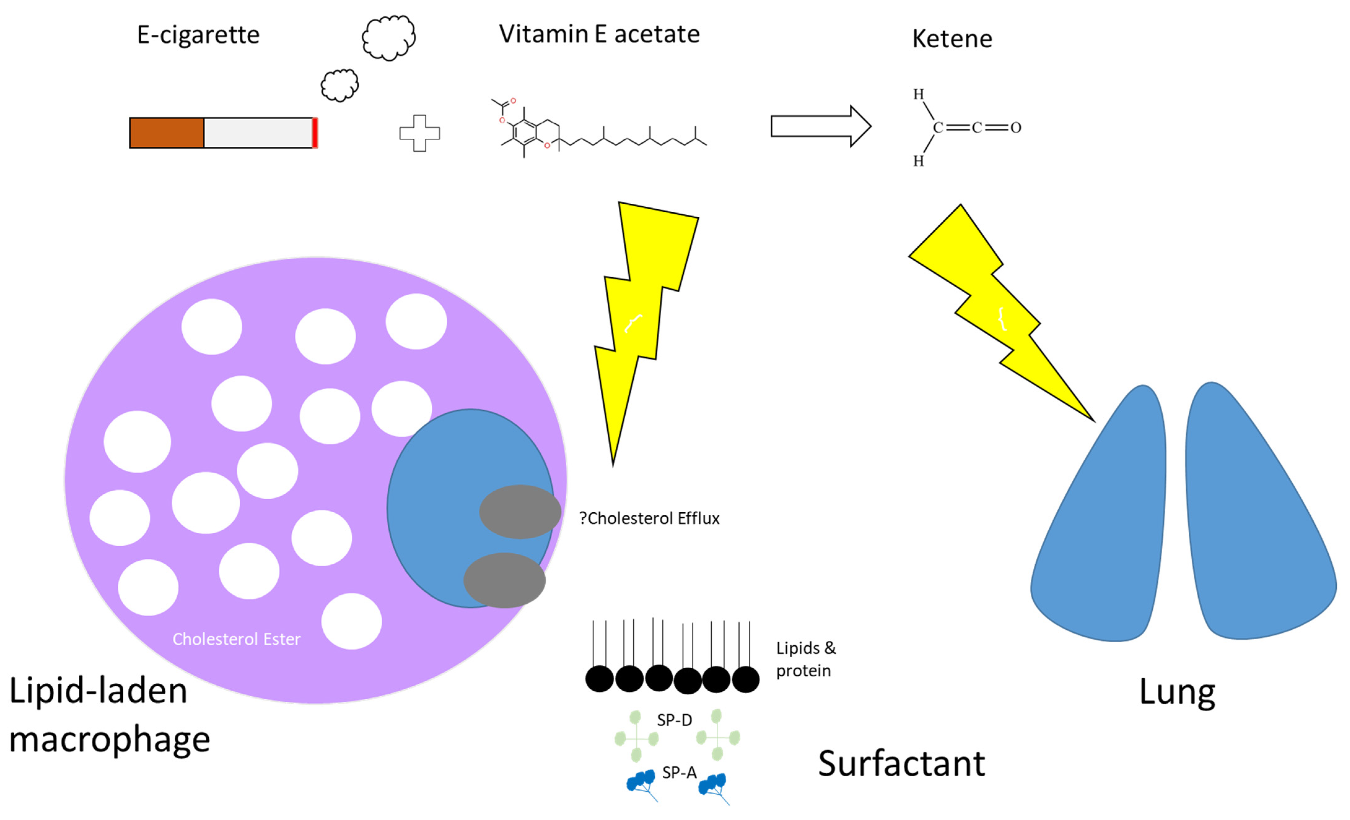 Medicina 58 00412 g004 Medicina 58 00412 g004
