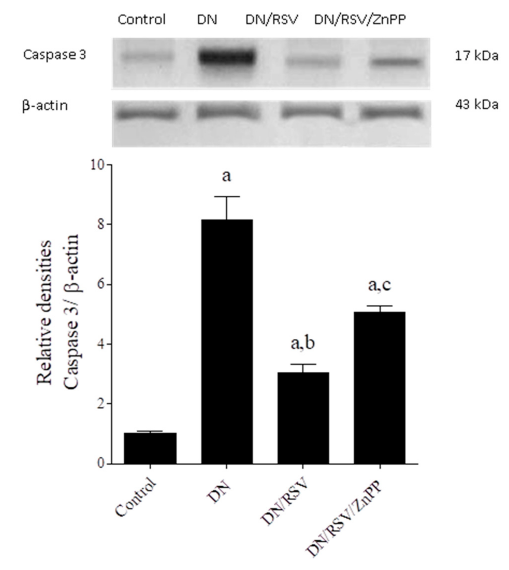 Medicina 58 00425 g004