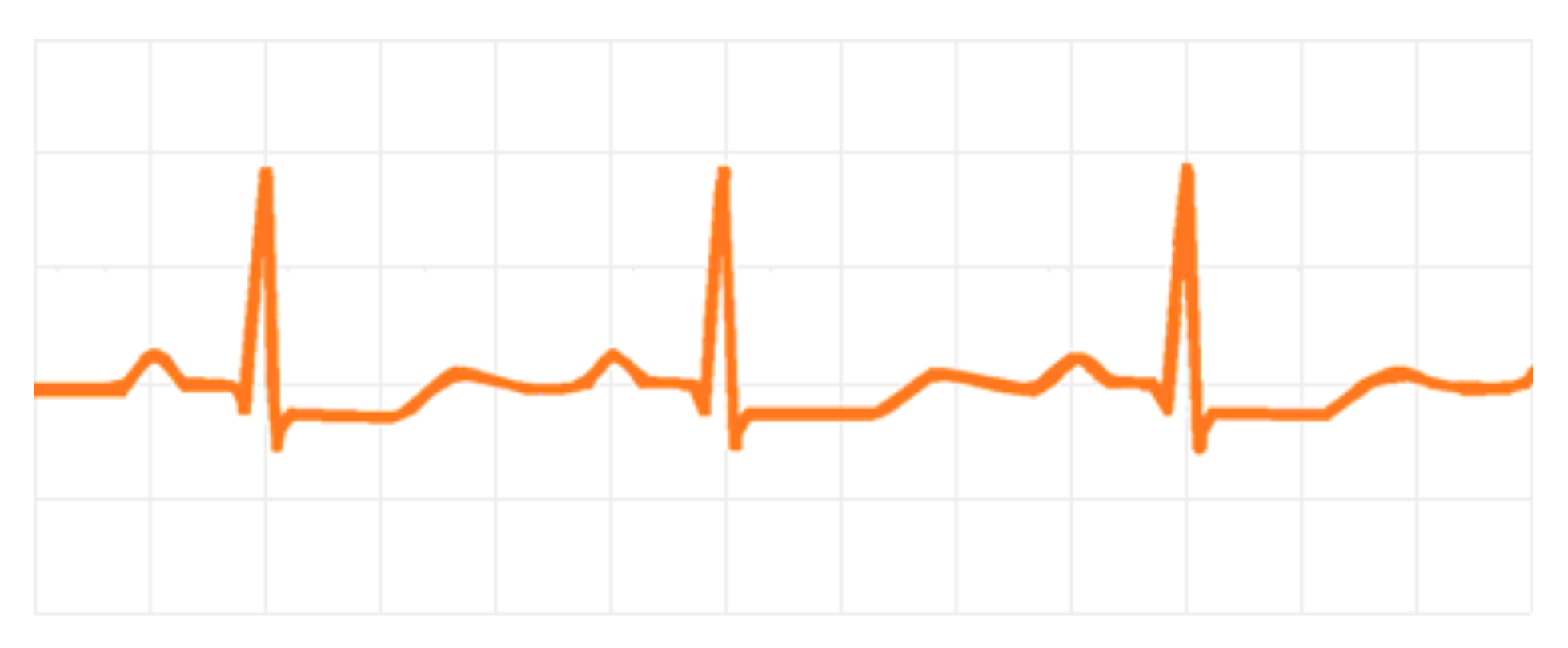 Medicina 58 00431 g002 Medicina 58 00431 g002