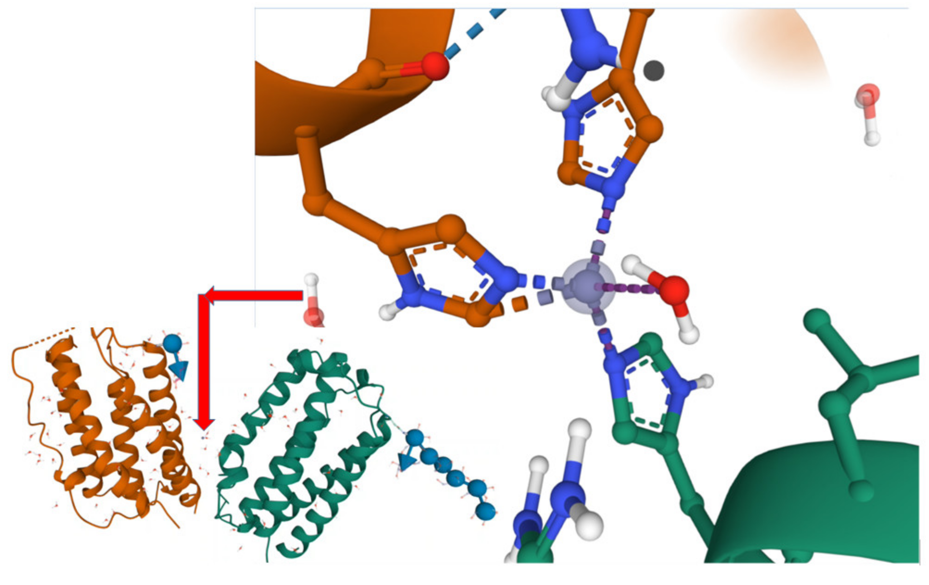 Medicina 58 00463 g004