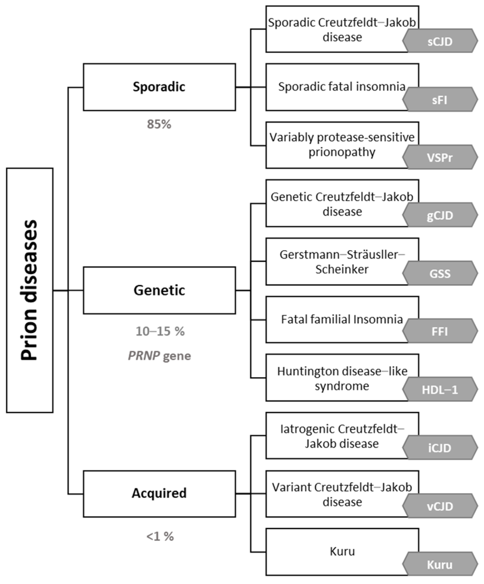 Detection of Prions in a Cadaver for Anatomical Practice