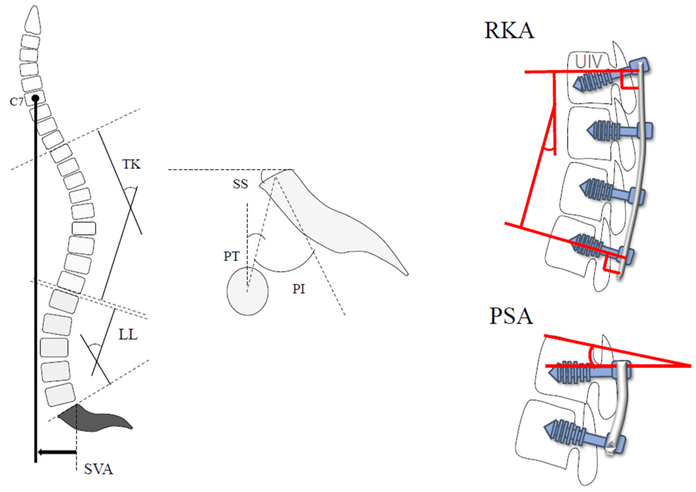 Medicina 58 00496 g004
