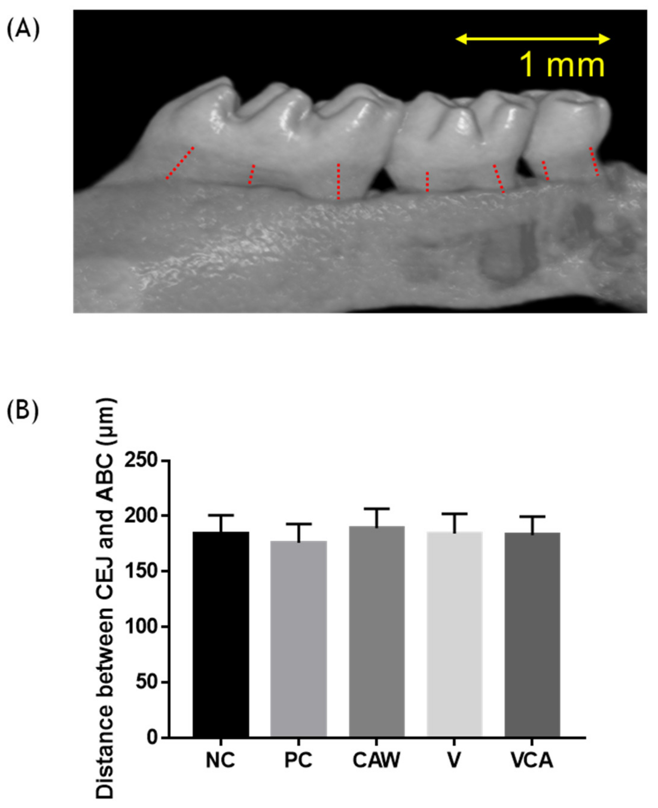 Medicina 58 00506 g007