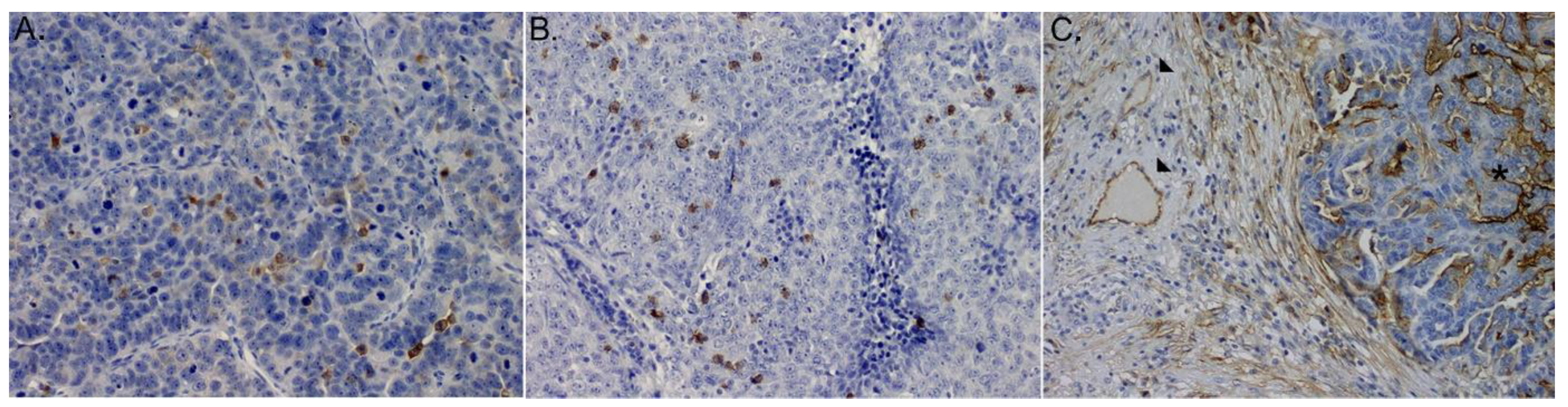 Medicina 58 00588 g001