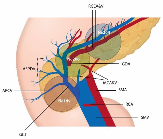 ANATOMIA ARTISTICA, VV.AA.