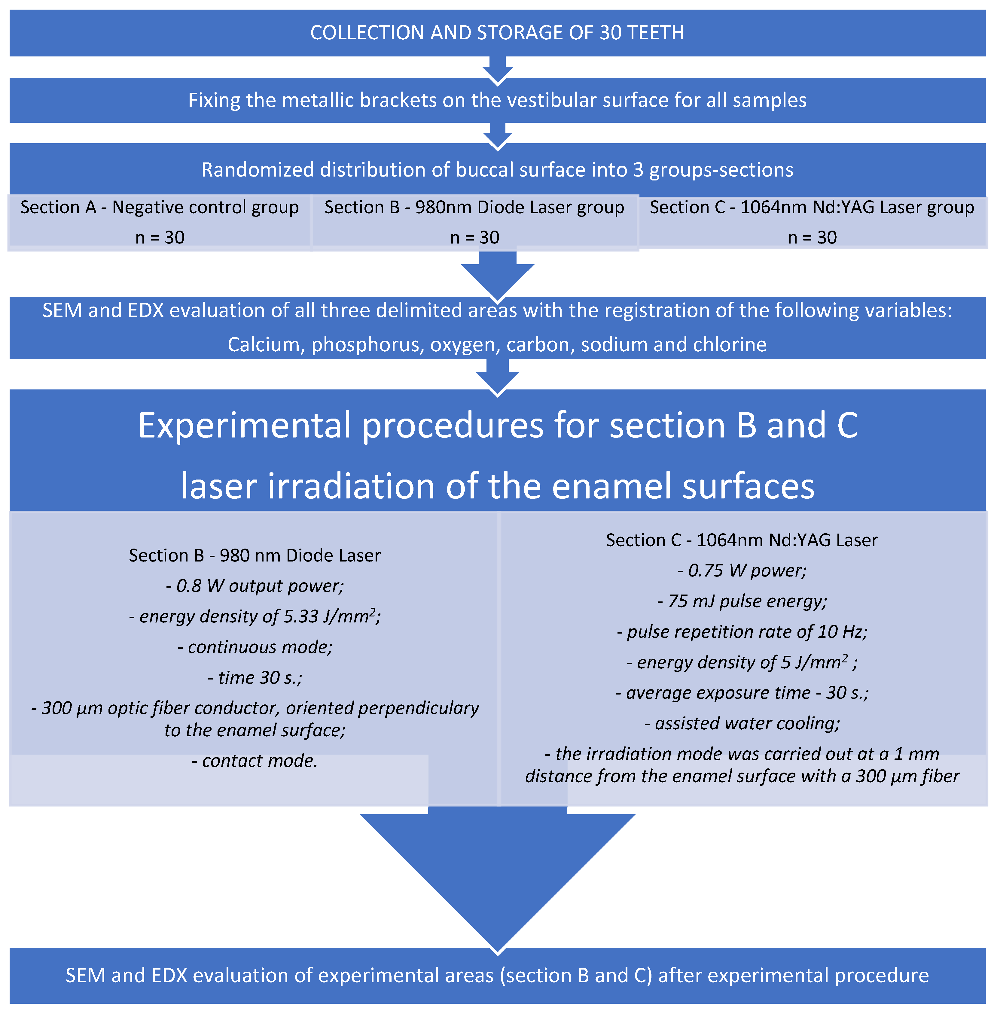 Medicina 58 00633 g002 Medicina 58 00633 g002