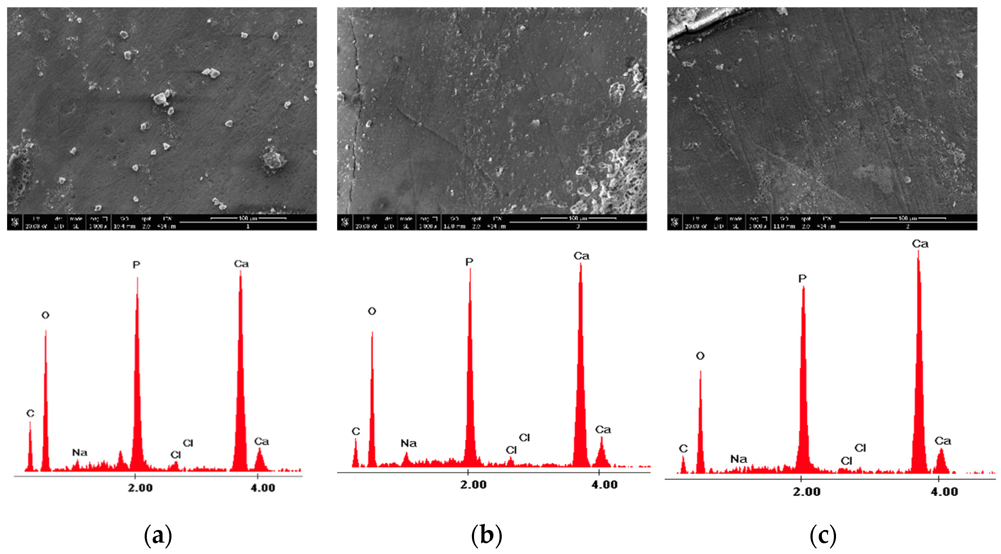 Medicina 58 00633 g004 Medicina 58 00633 g004