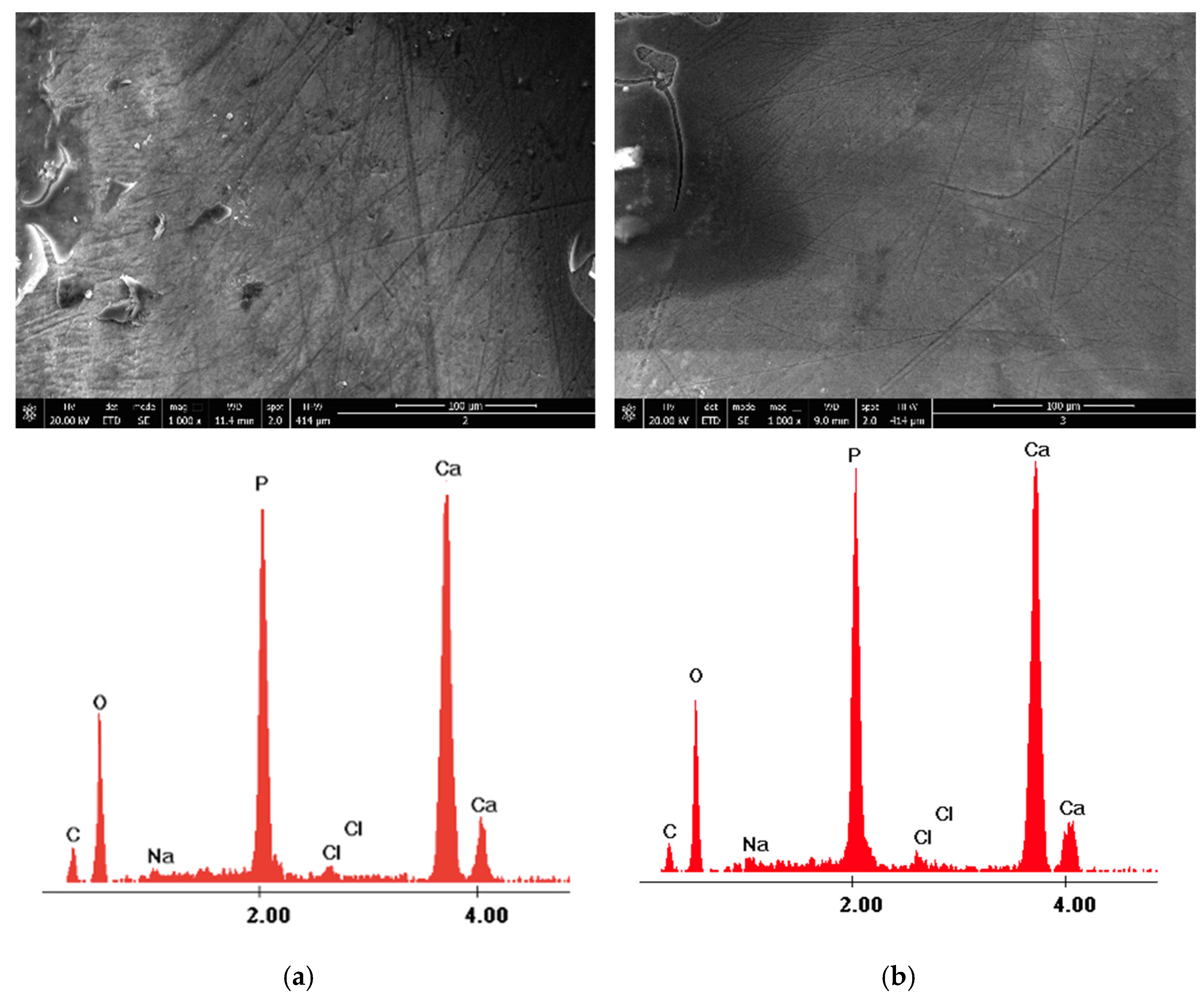 Medicina 58 00633 g006 Medicina 58 00633 g006