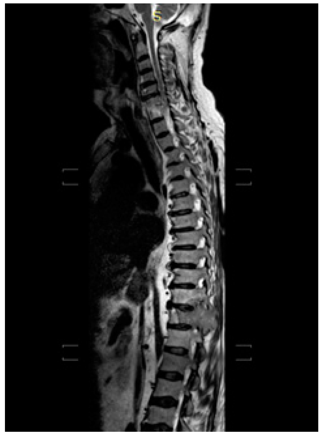 Medicina 58 00666 g003