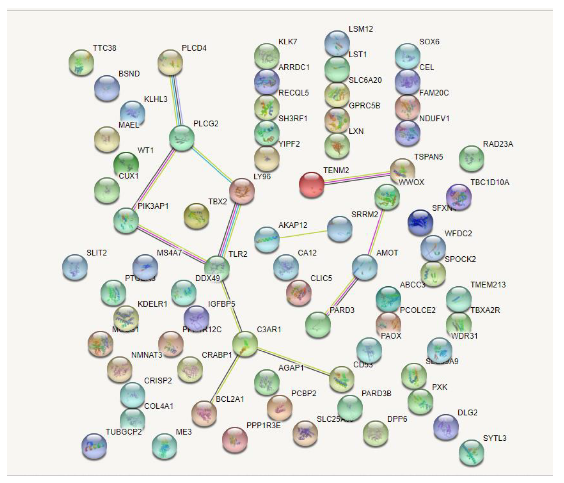 Medicina 58 00681 g003