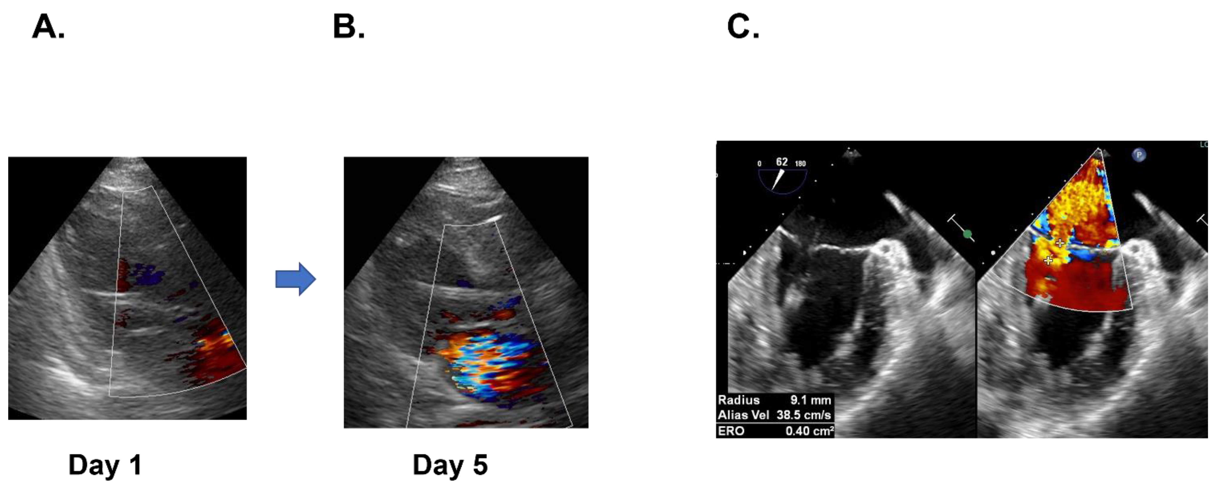 Medicina 58 00698 g003