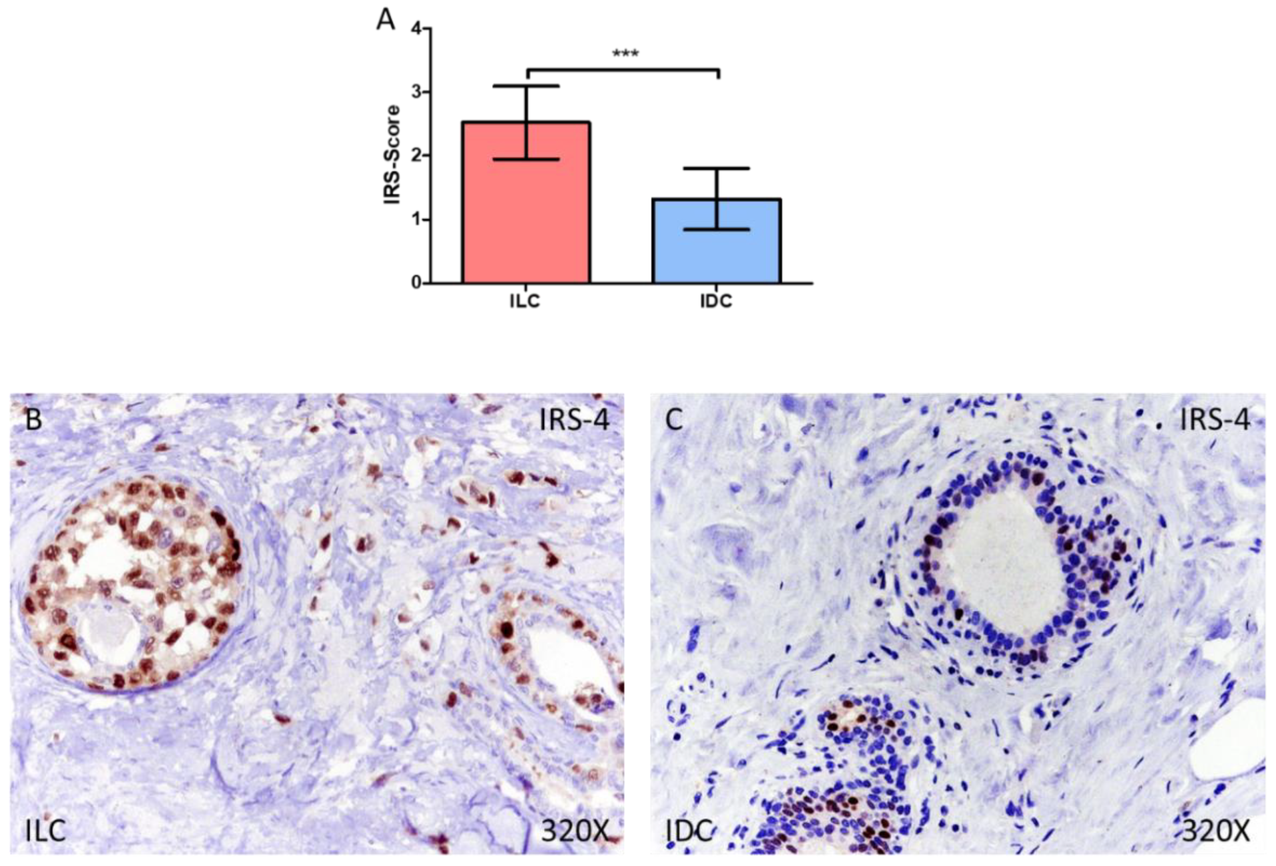 Medicina 58 00722 g001