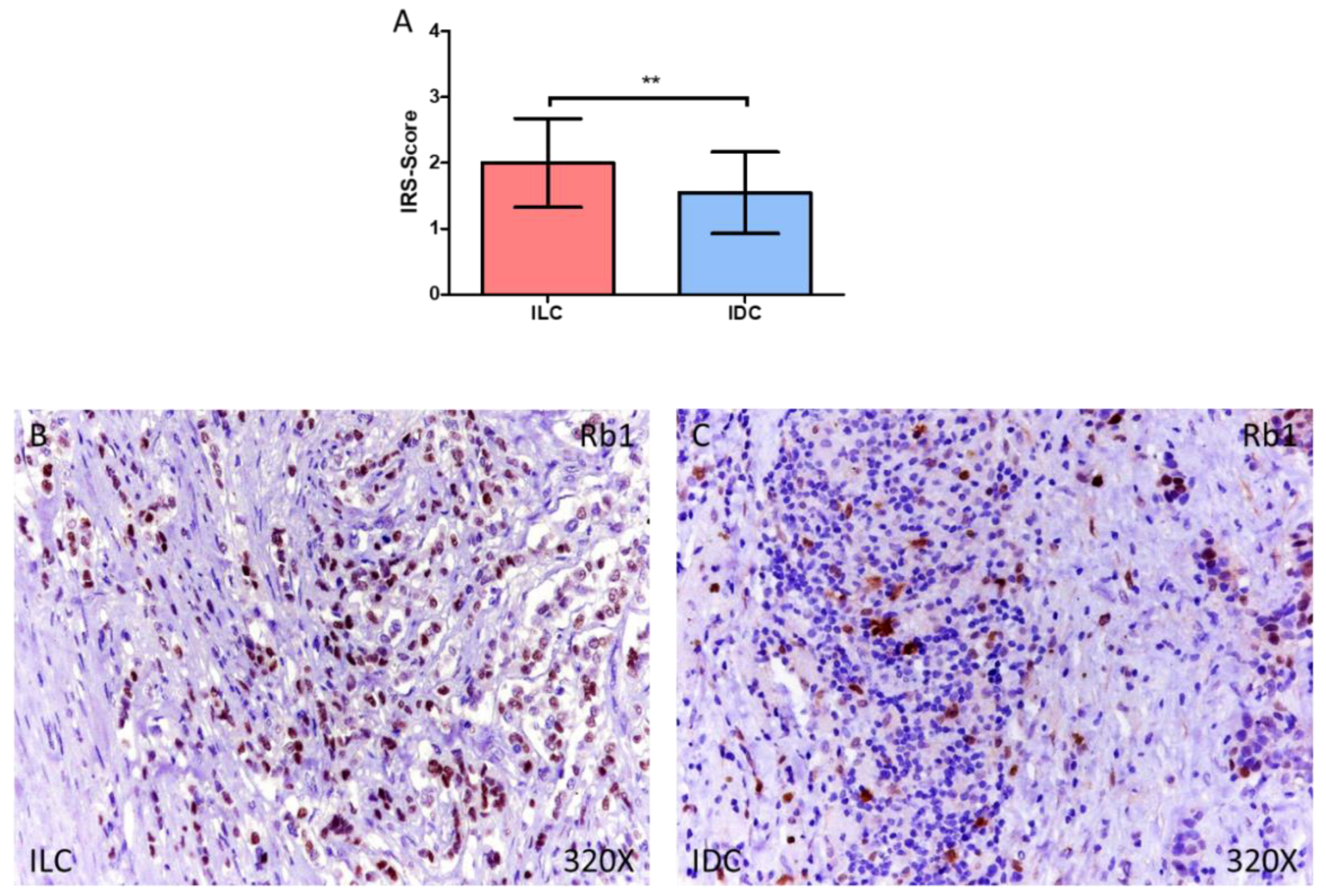 Medicina 58 00722 g003