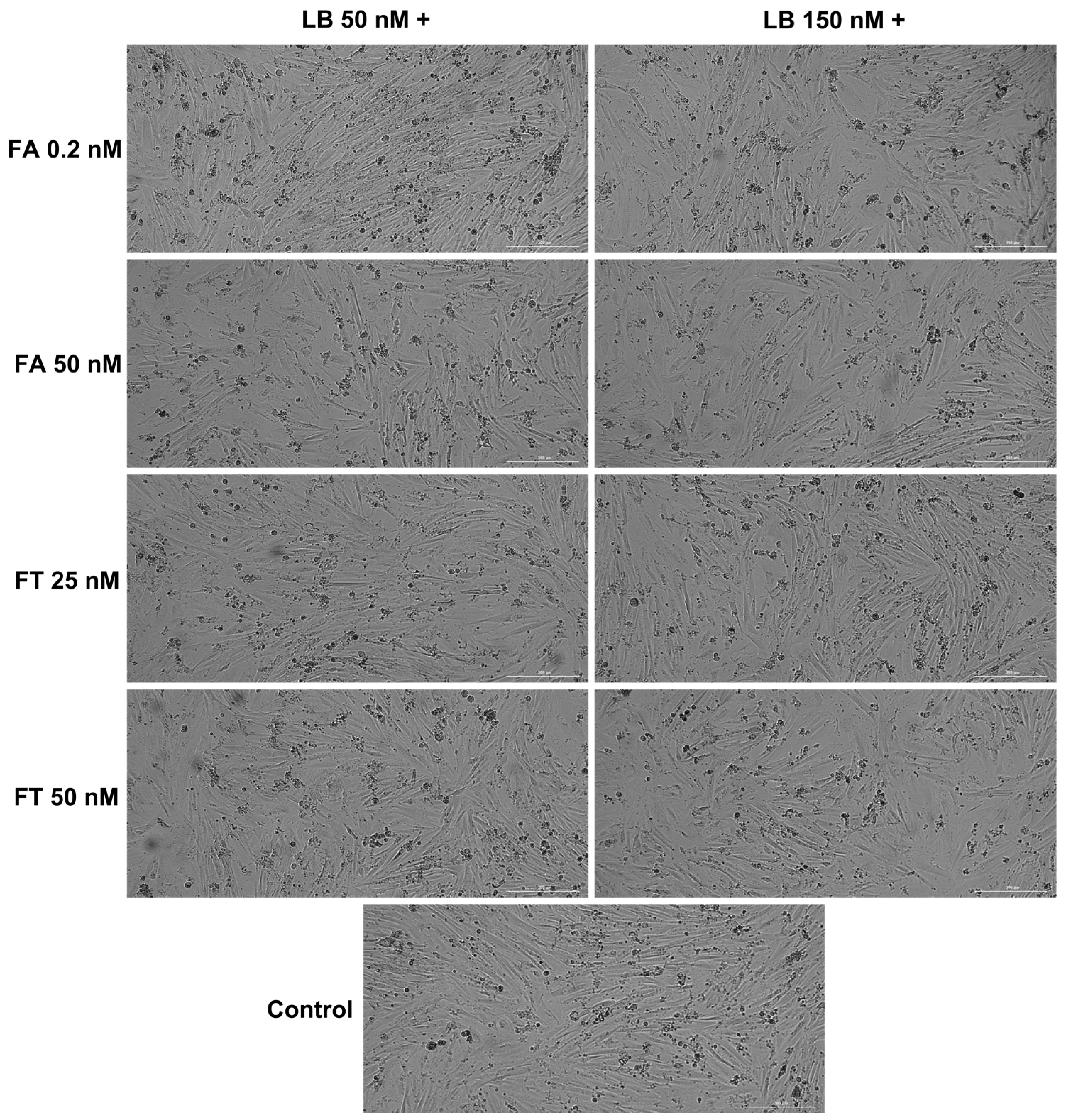 Medicina 58 00784 g003 Medicina 58 00784 g003