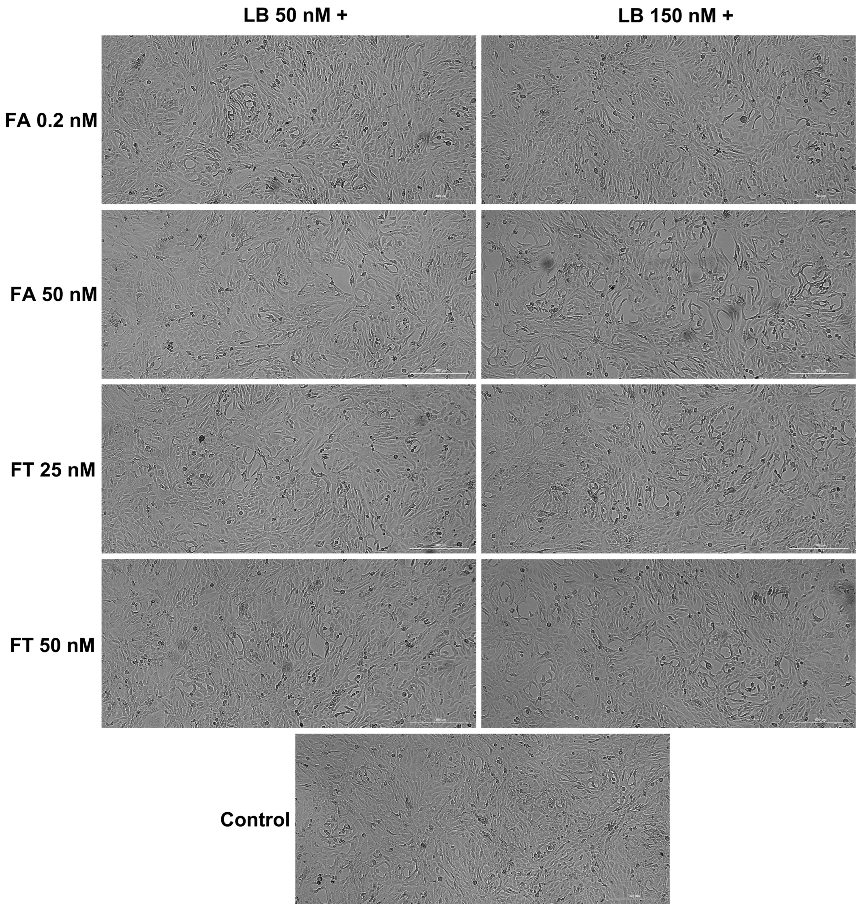 Medicina 58 00784 g004 Medicina 58 00784 g004