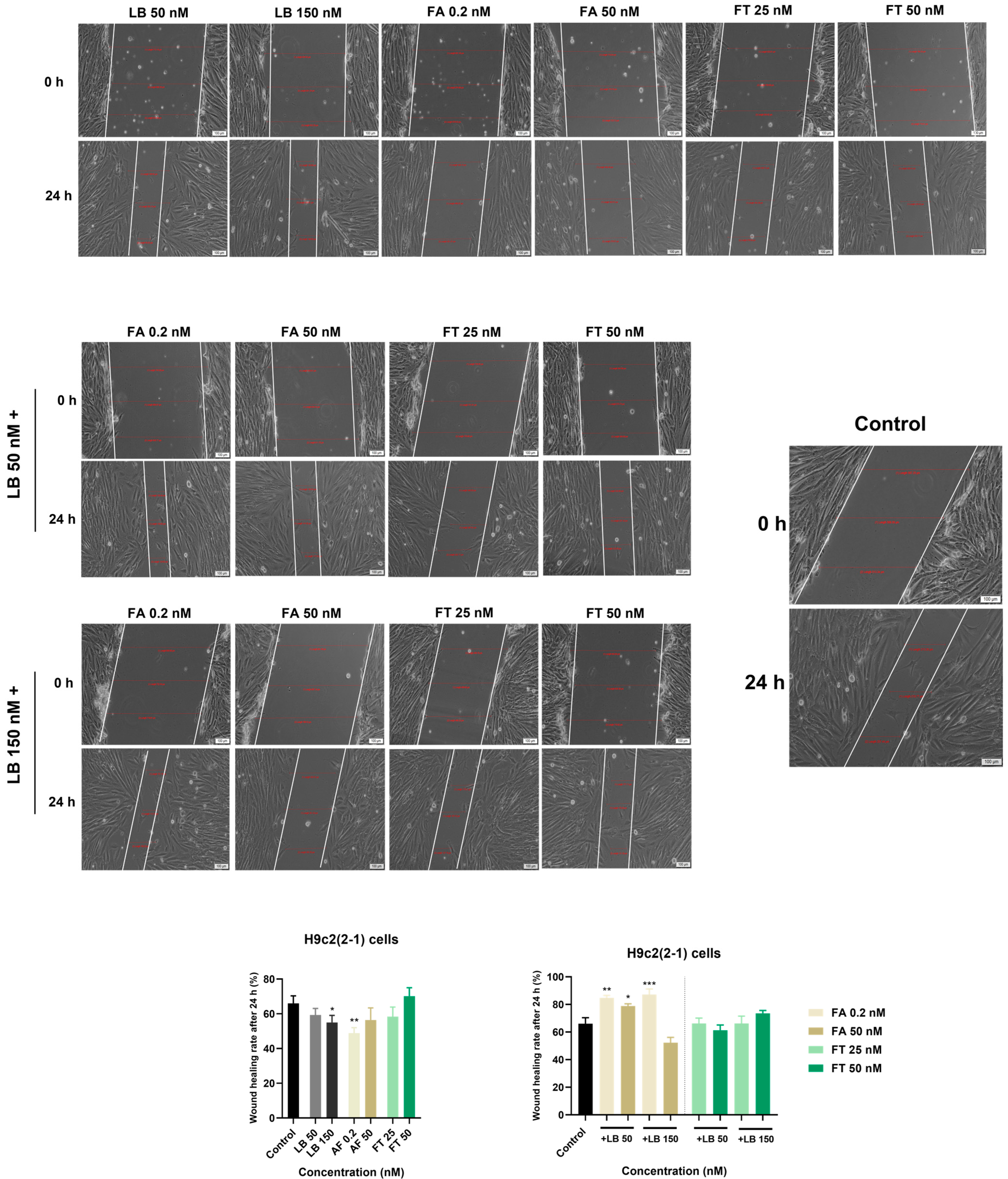 Medicina 58 00784 g005 Medicina 58 00784 g005