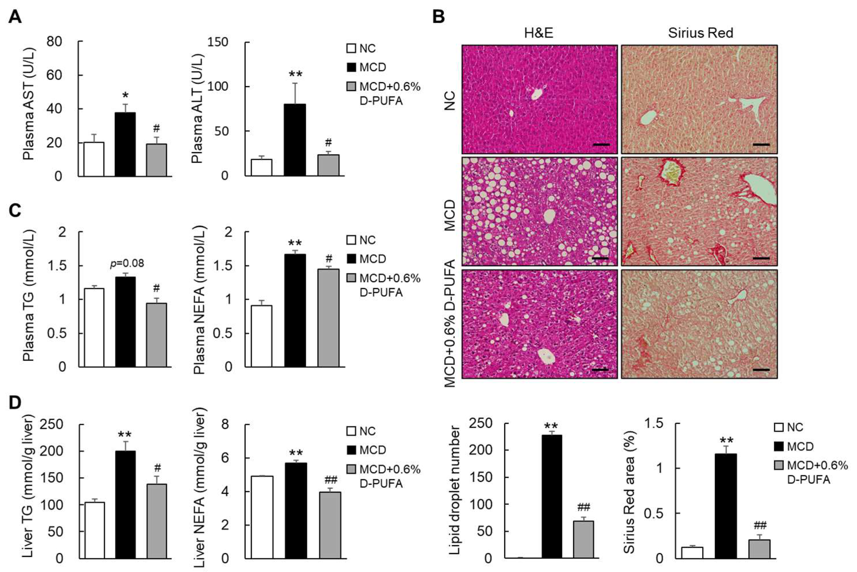 Medicina 58 00790 g003