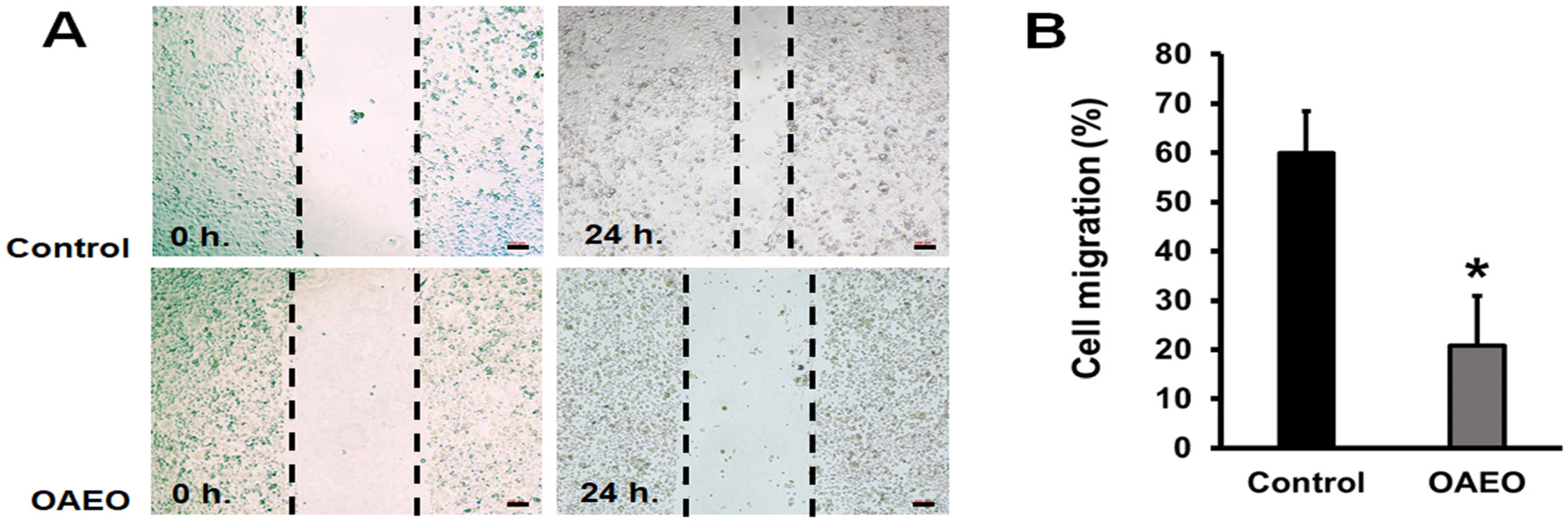 Medicina 58 00799 g003