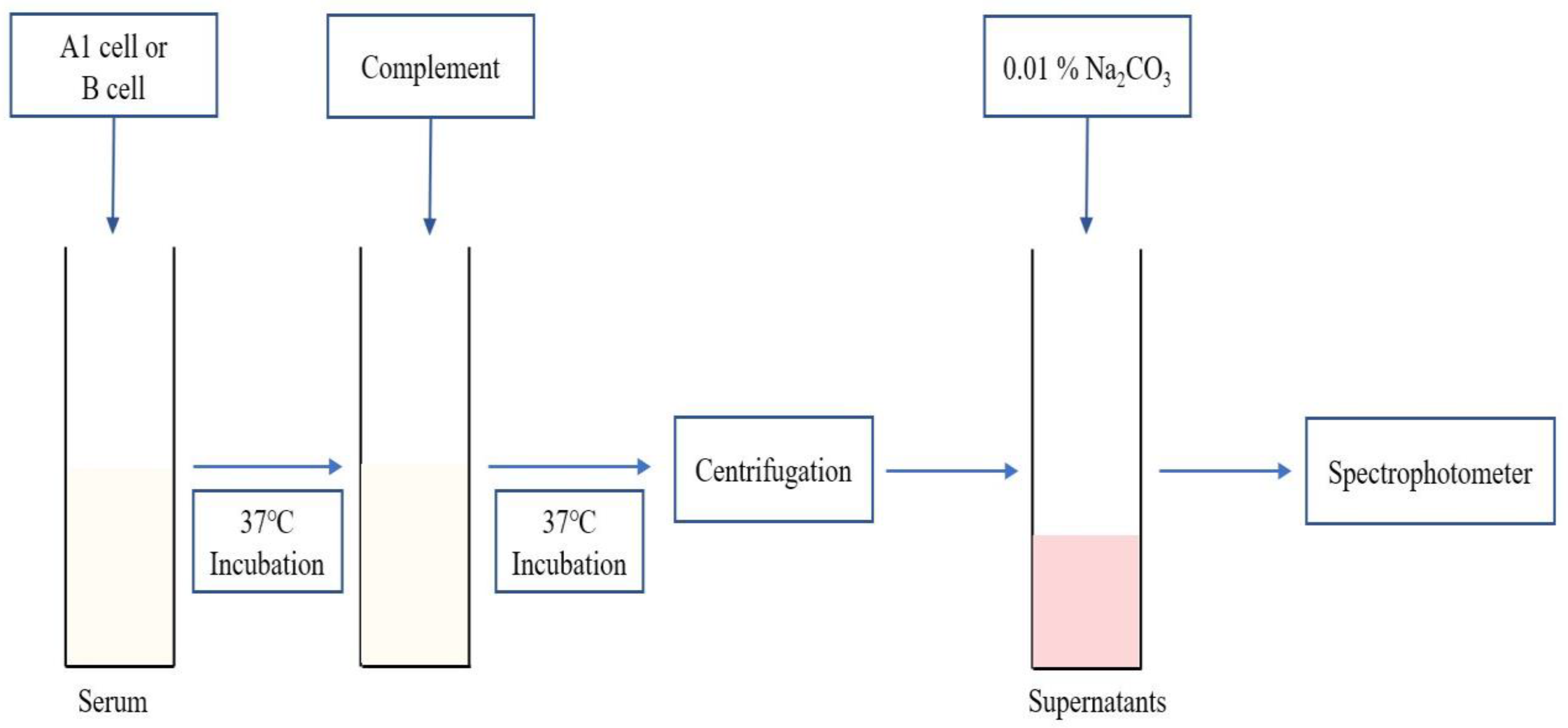 Medicina 58 00830 g001 Medicina 58 00830 g001
