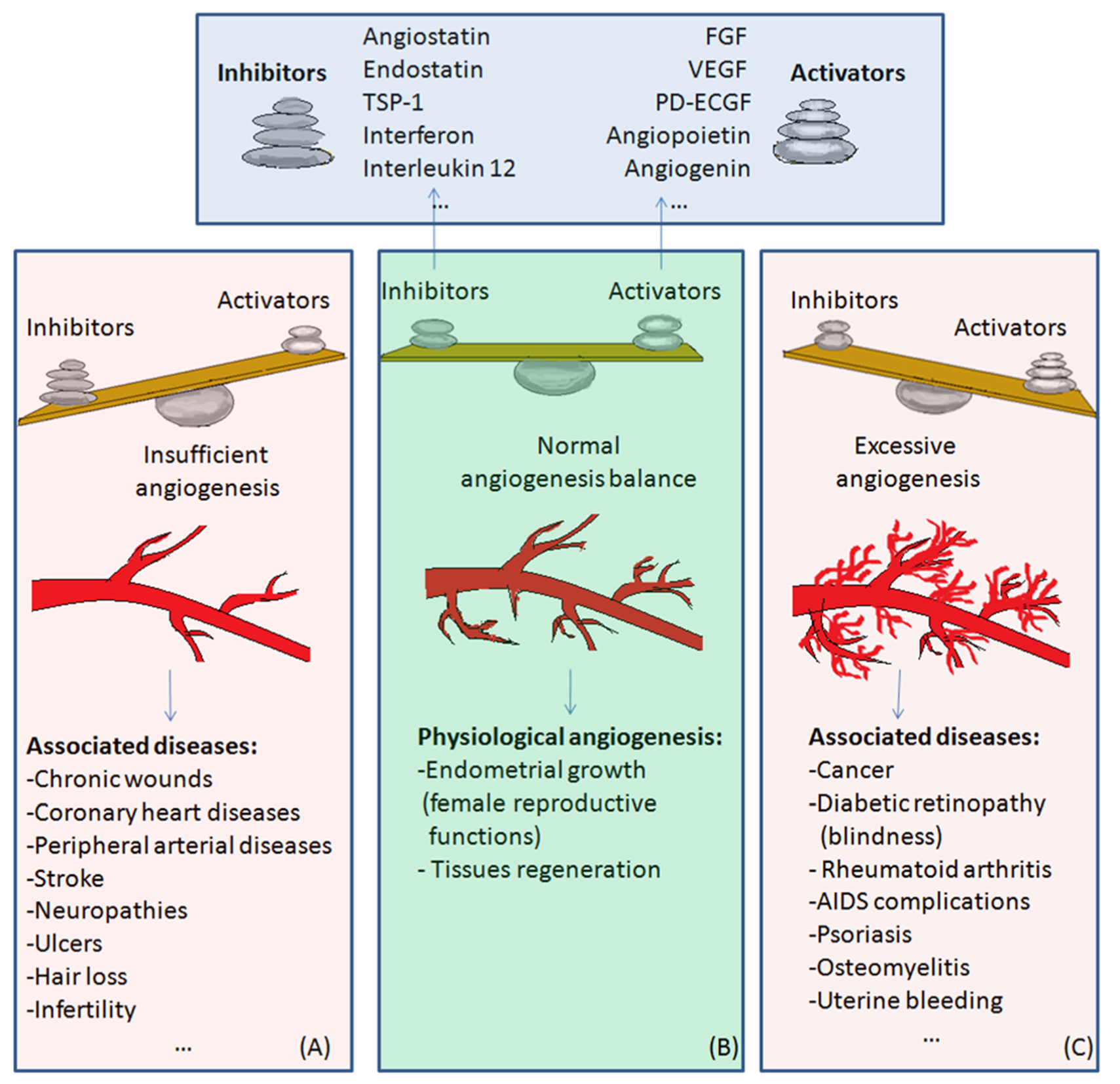 Medicina 58 00903 g002