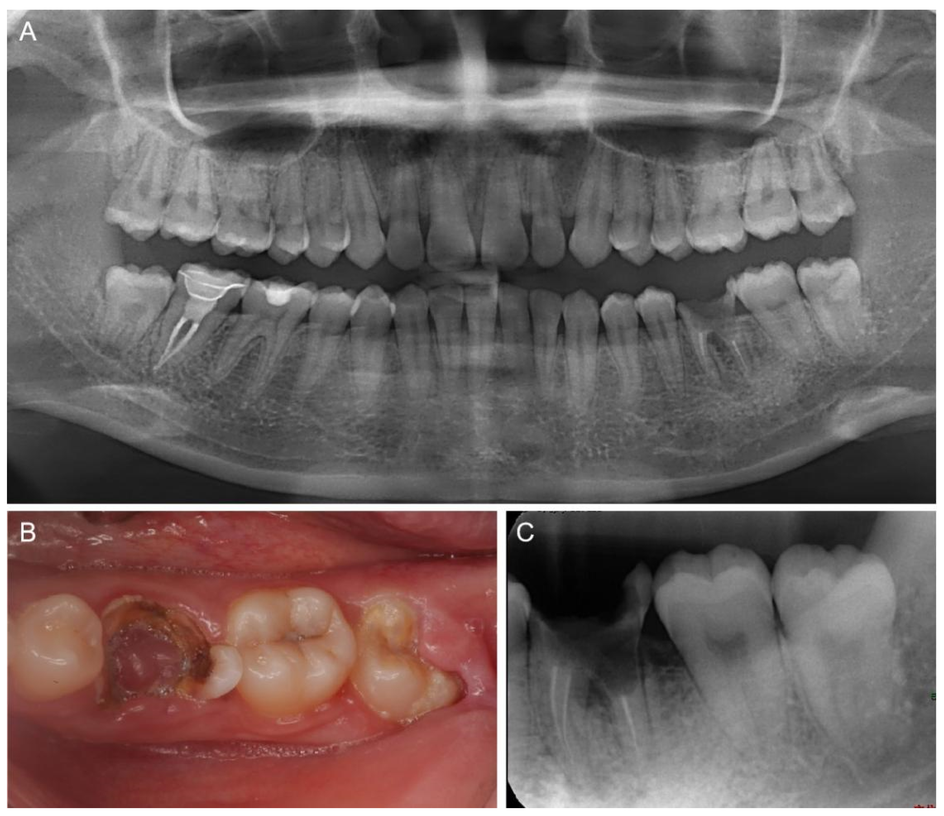 Medicina 58 00953 g001