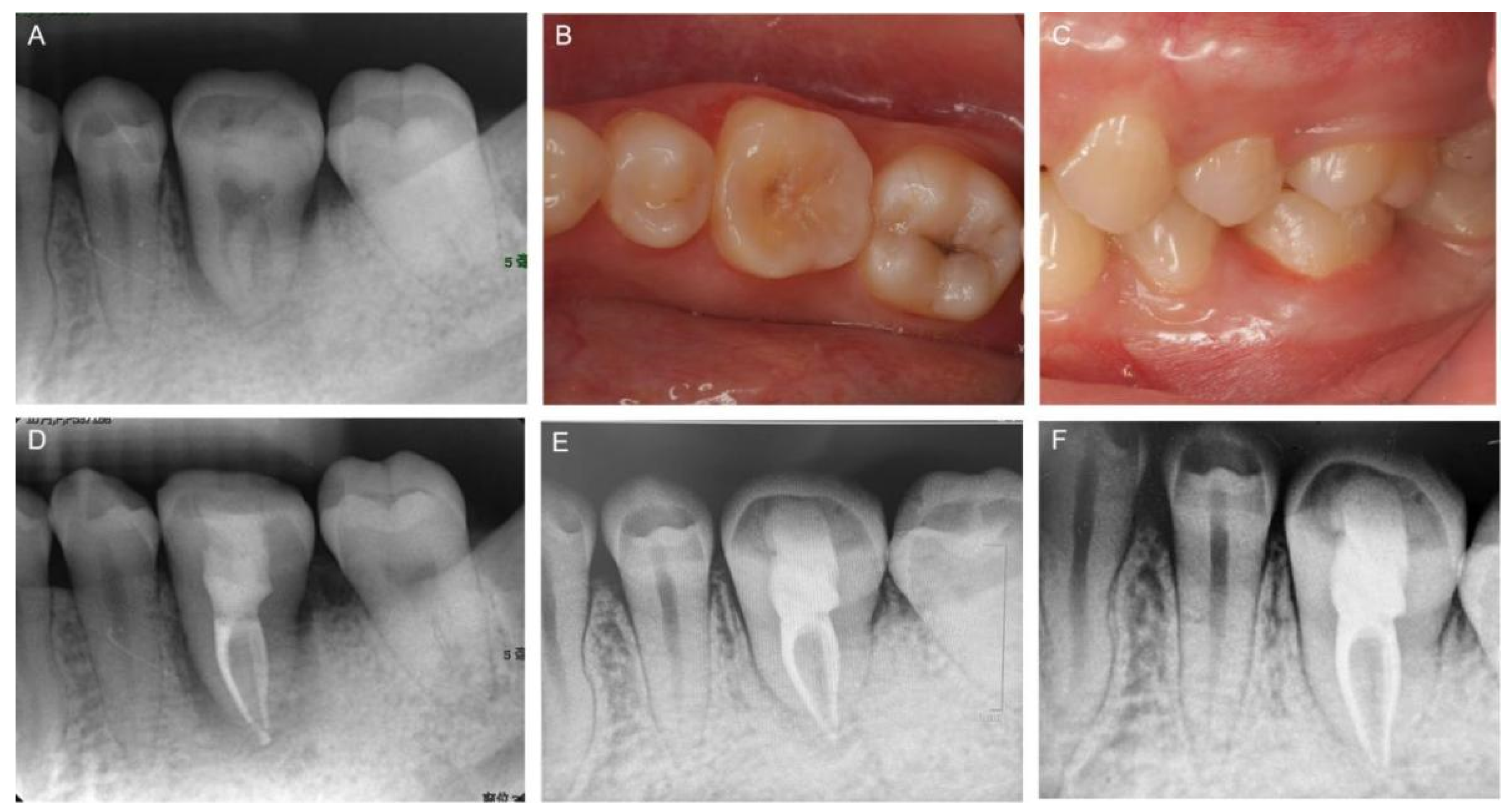 Medicina 58 00953 g004
