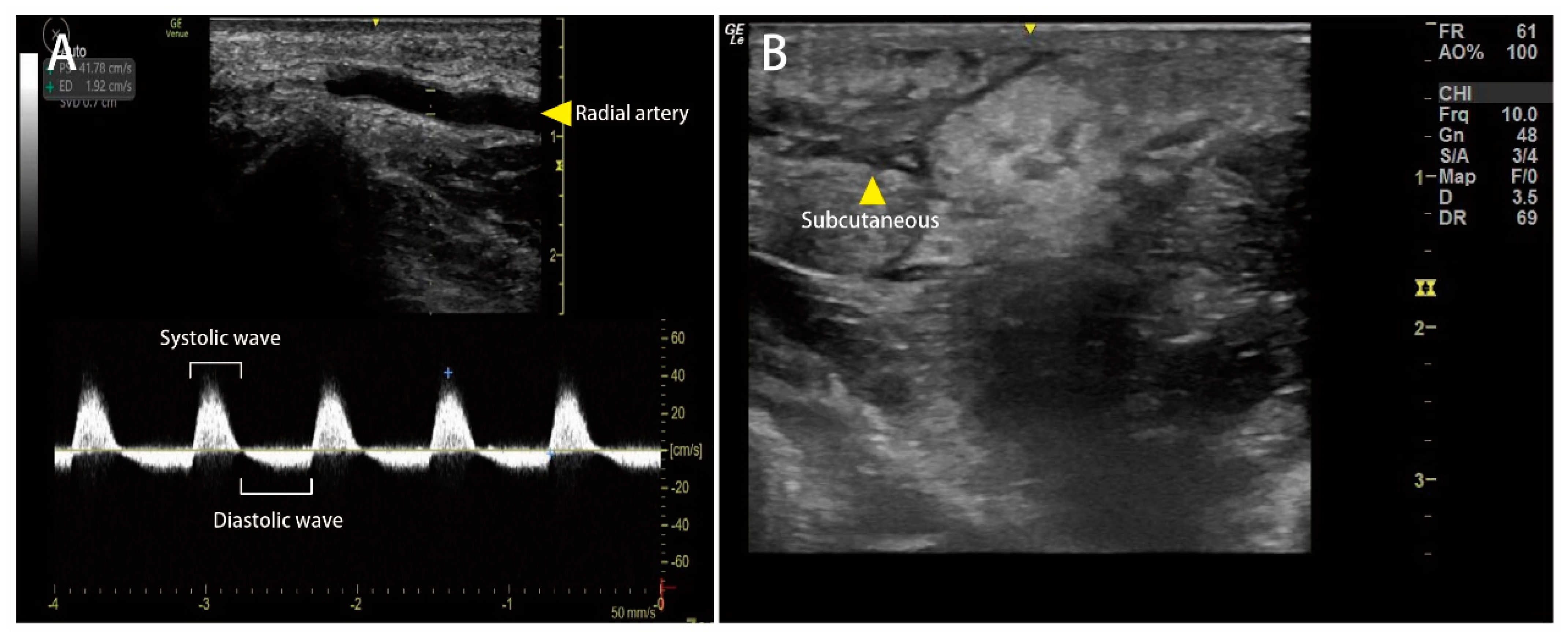 Medicina 58 00996 g002 Medicina 58 00996 g002