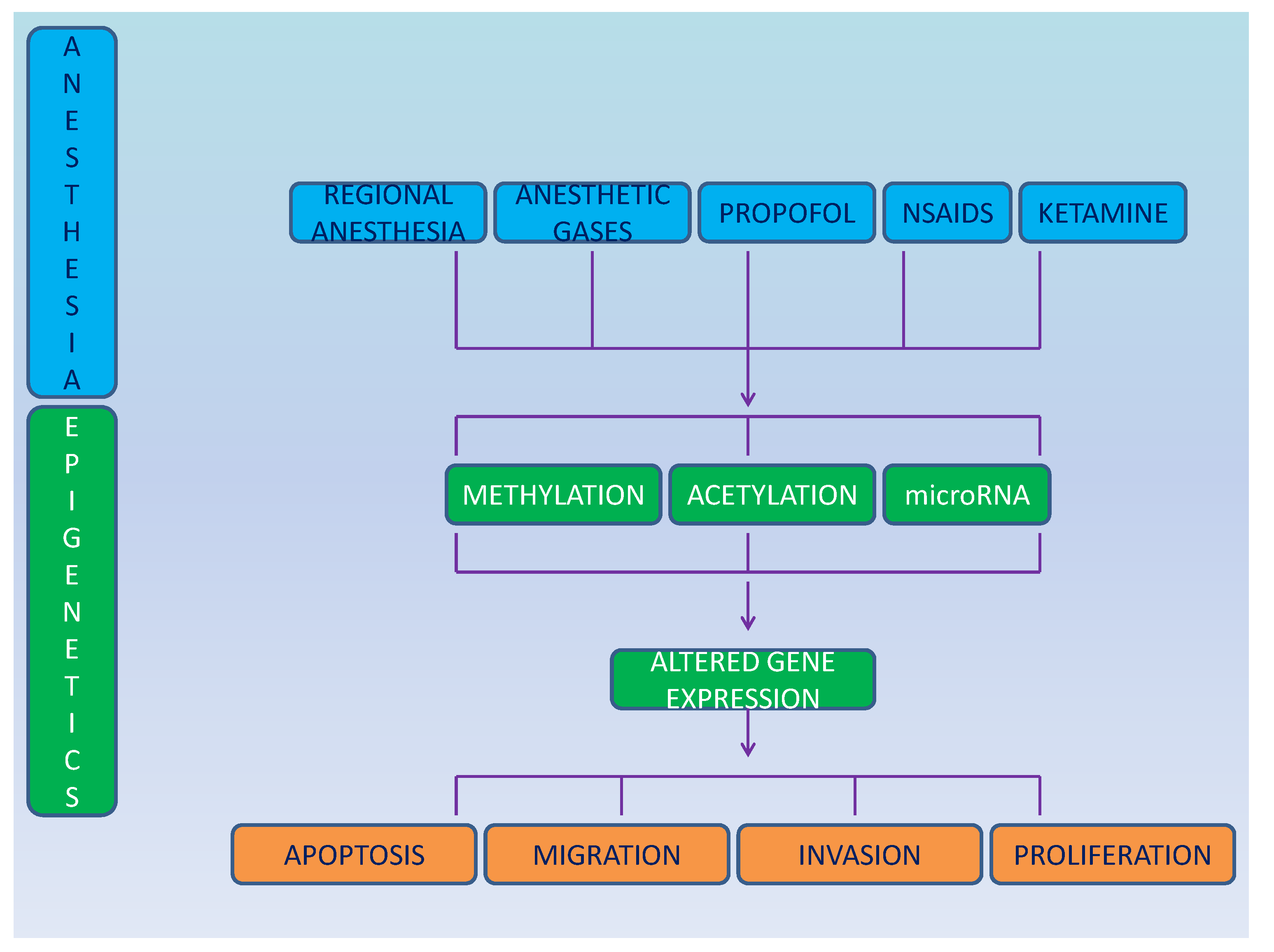 Medicina 58 01102 g001 Medicina 58 01102 g001