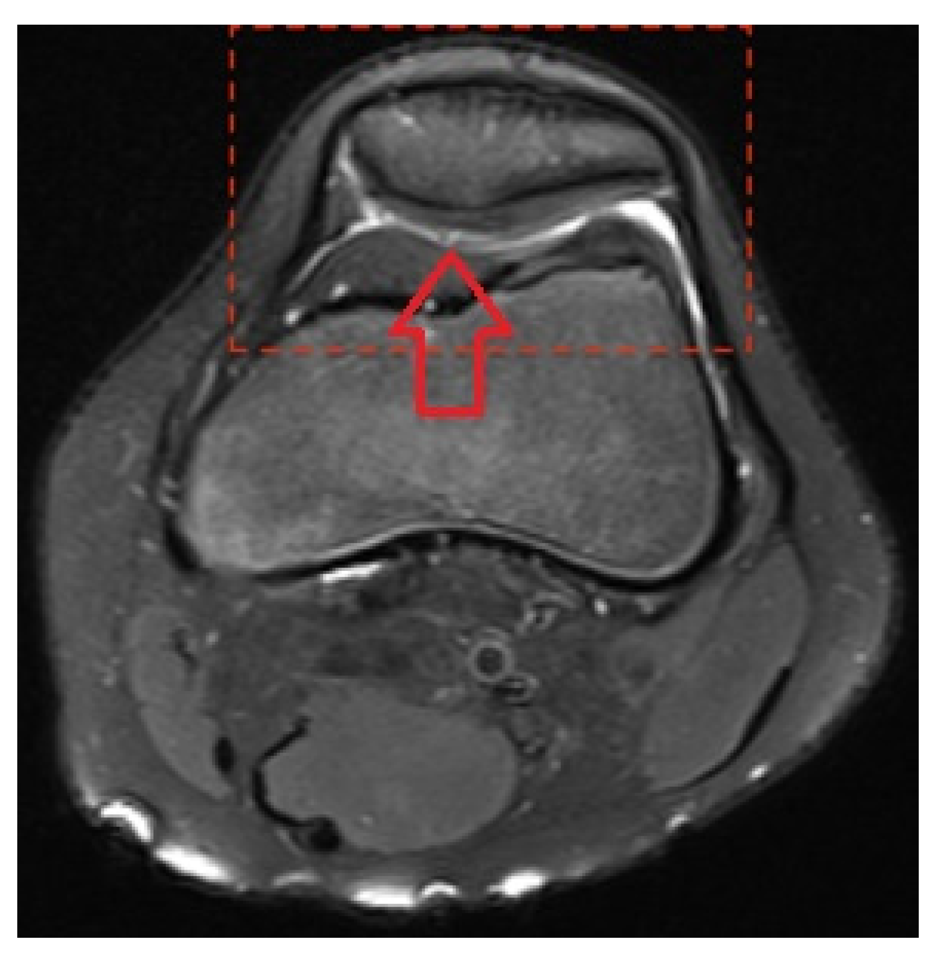 Medicina 58 01107 g001
