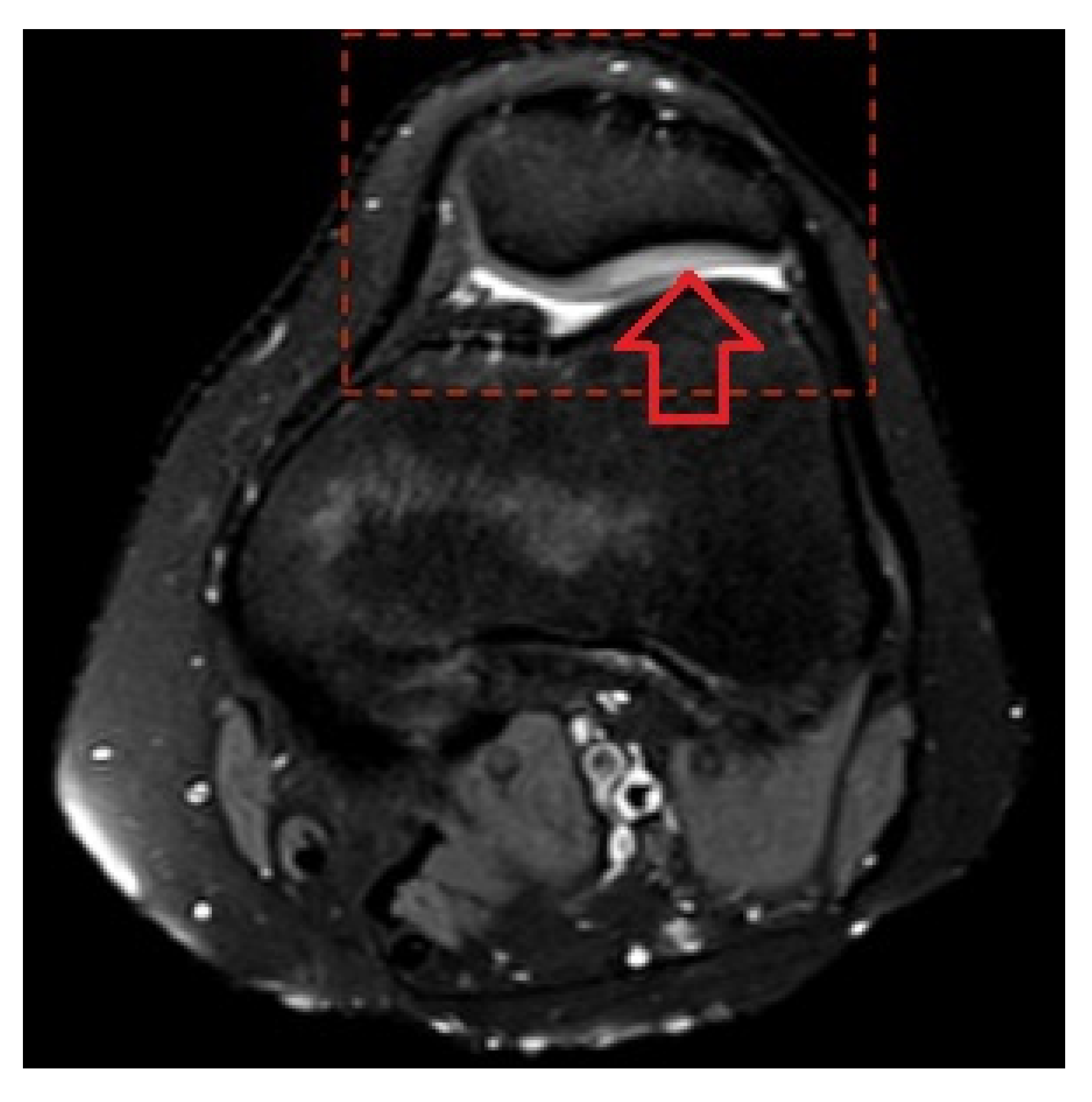 Medicina 58 01107 g002