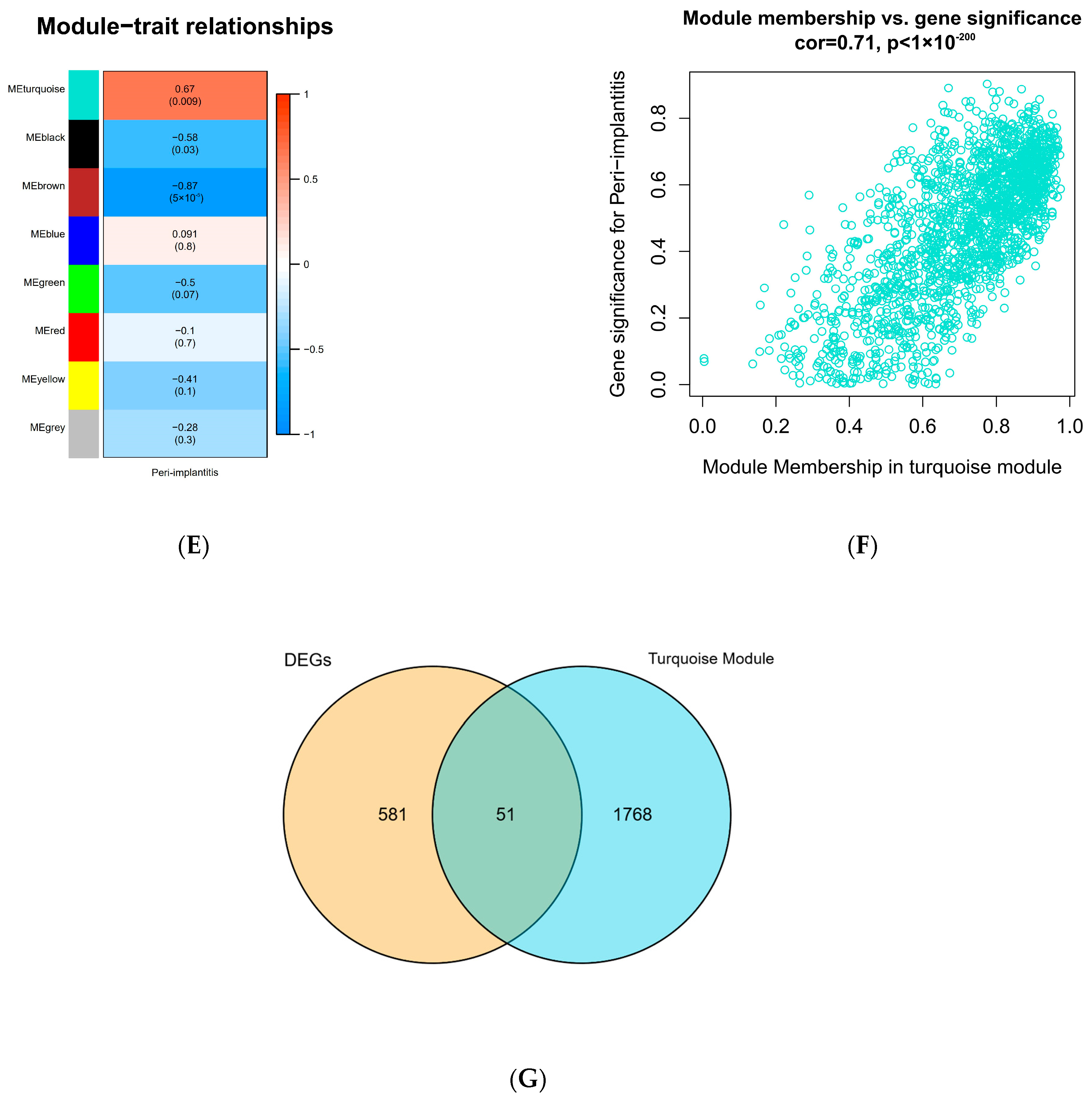 Medicina 58 01124 g002b