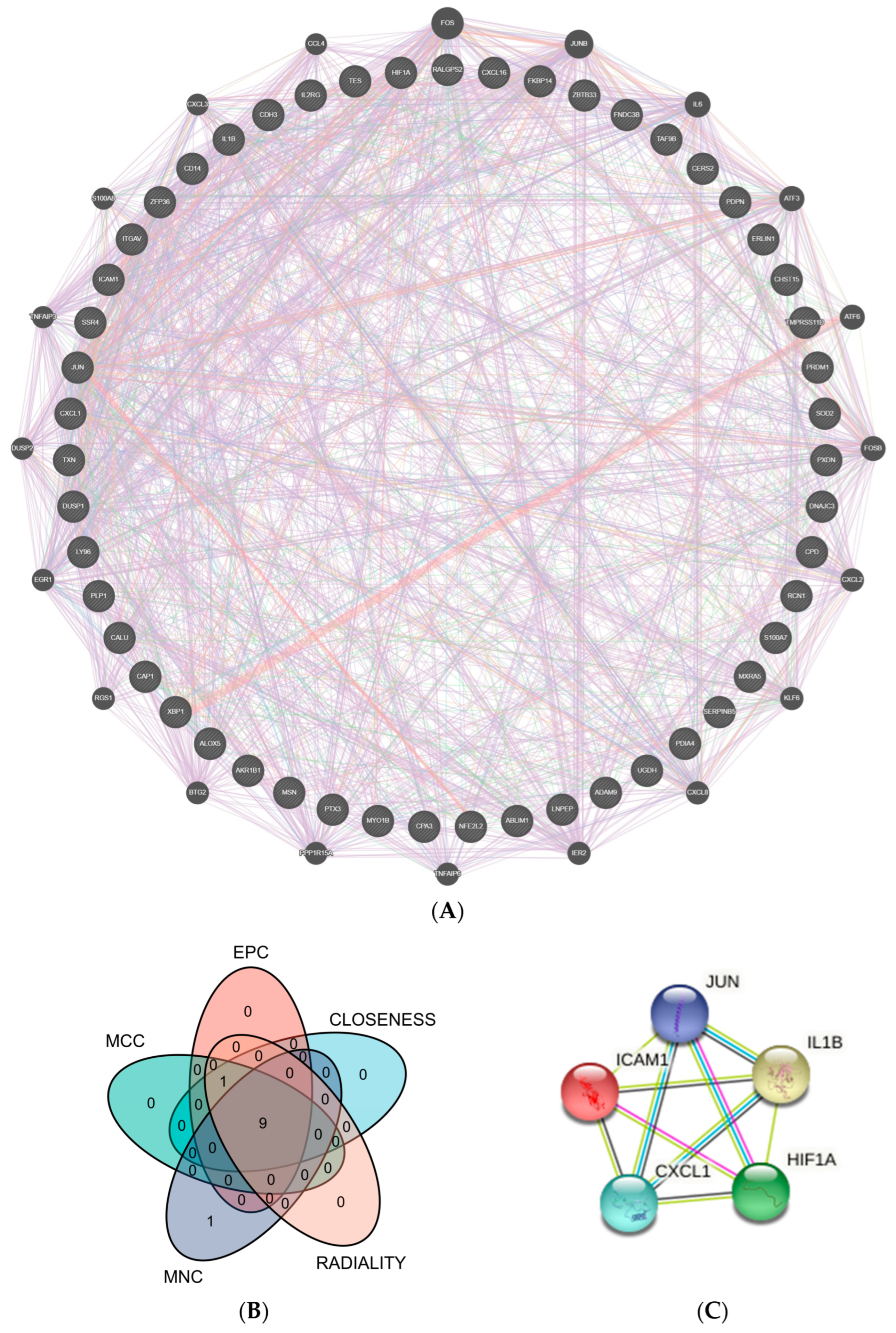 Medicina 58 01124 g004