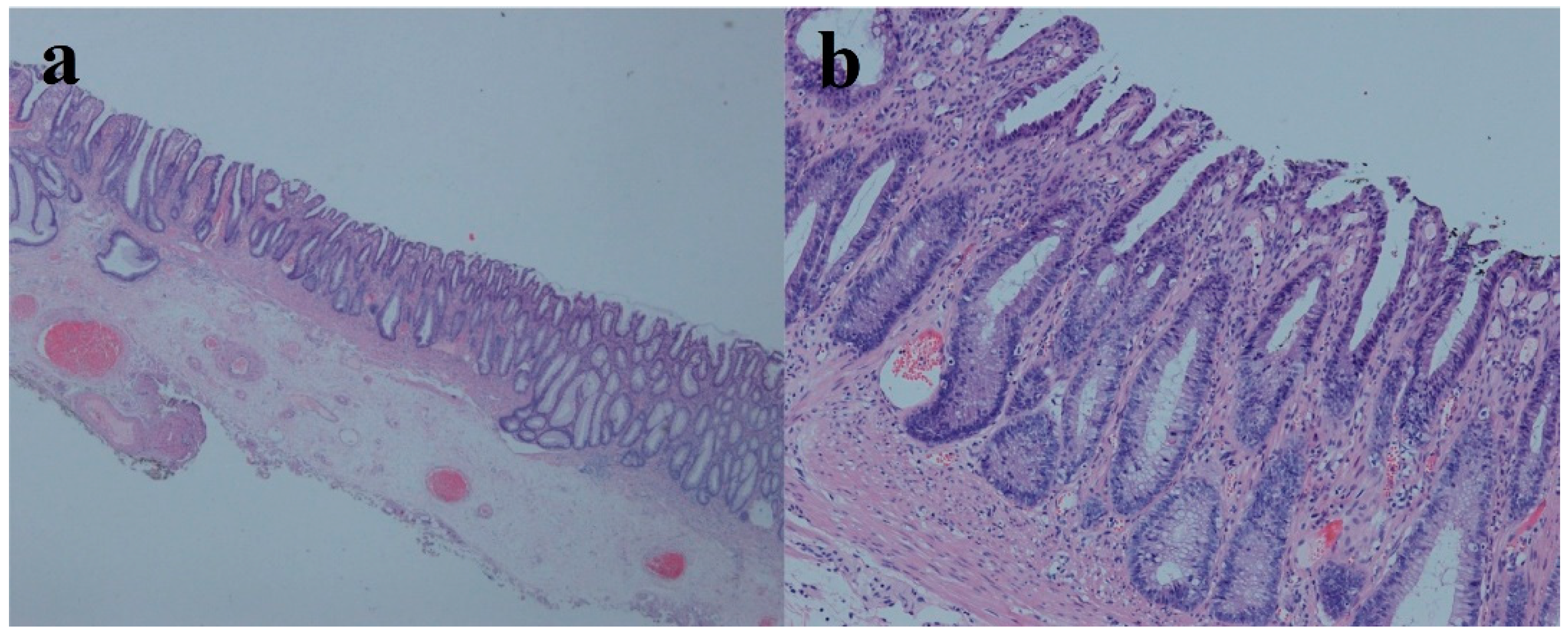 Medicina 58 01136 g003