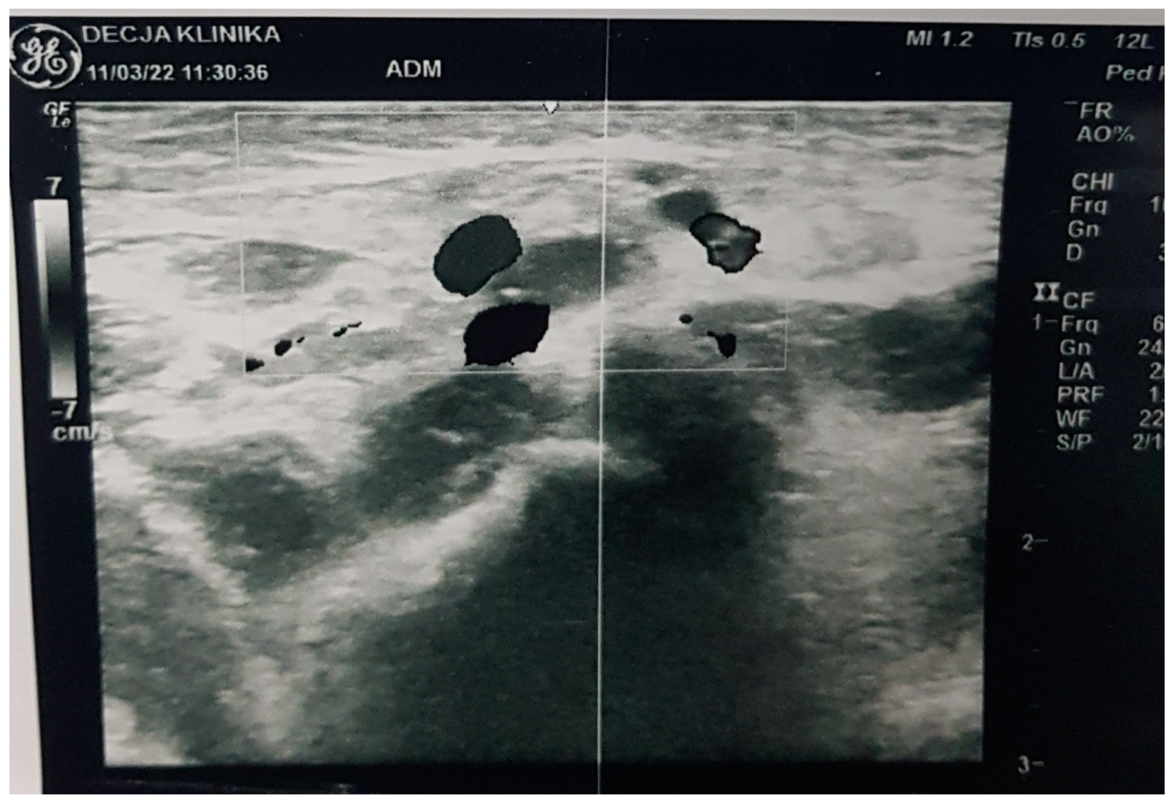 Medicina 58 01150 g001 Medicina 58 01150 g001
