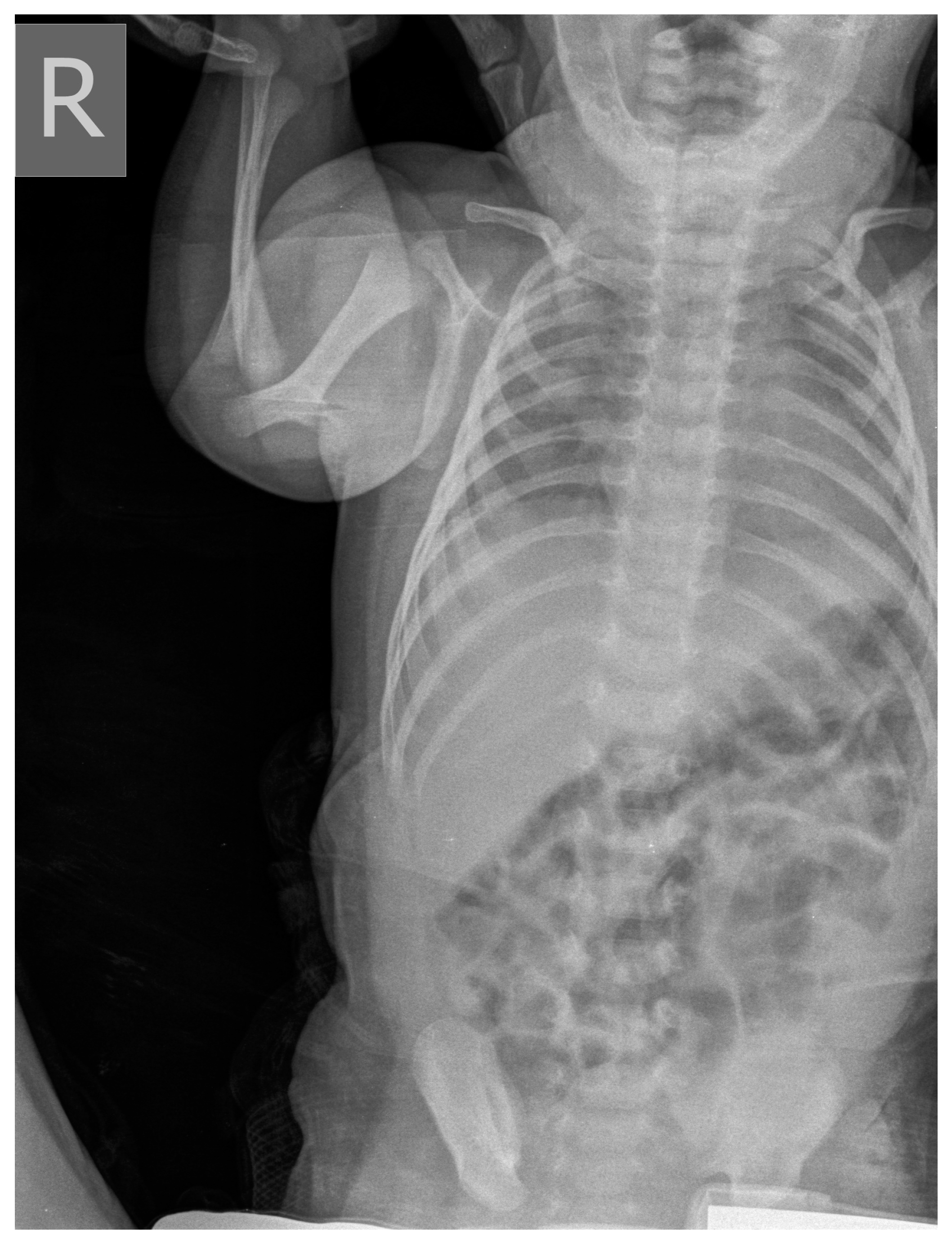 Medicina 58 01150 g004 Medicina 58 01150 g004