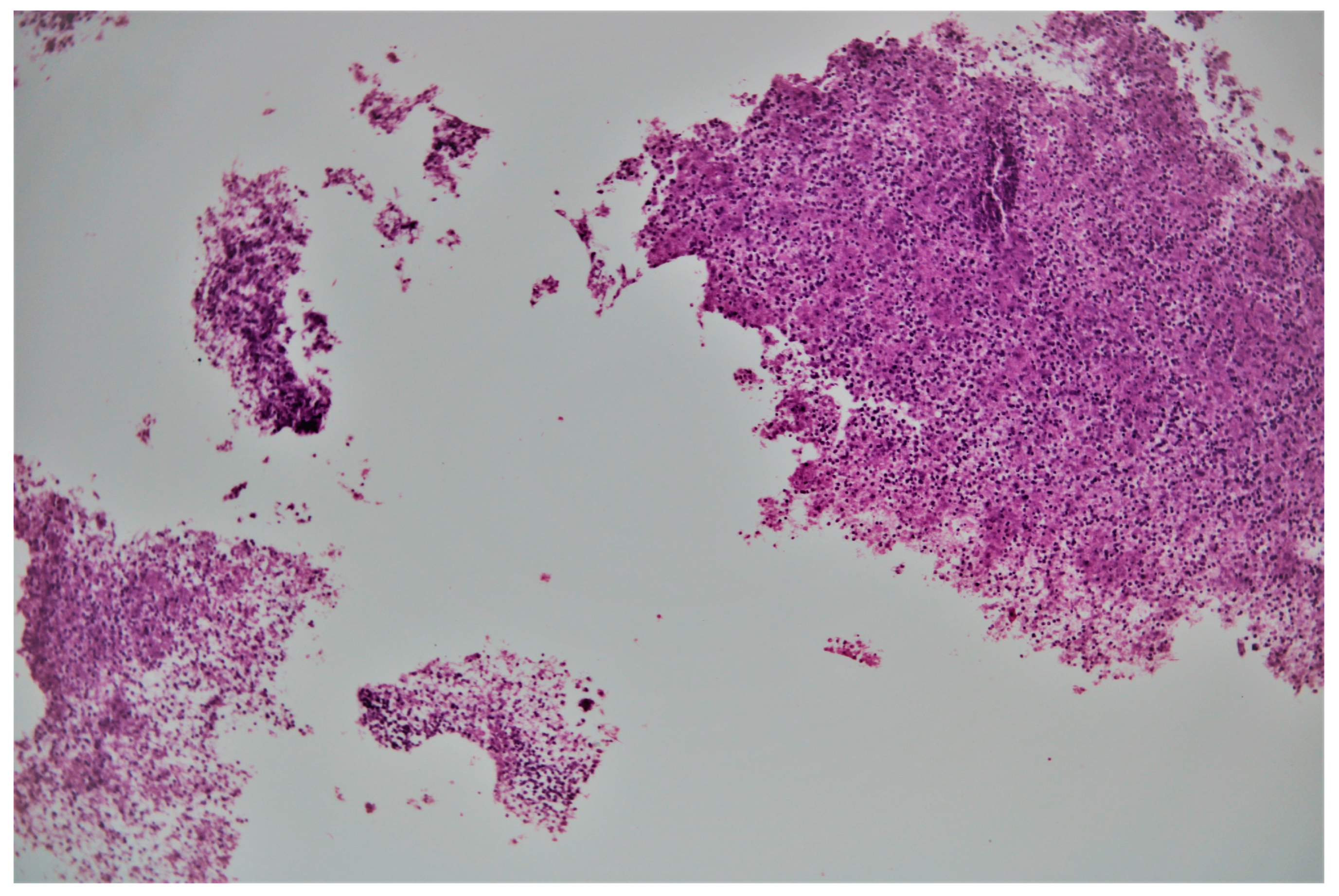 Medicina 58 01165 g006 Medicina 58 01165 g006