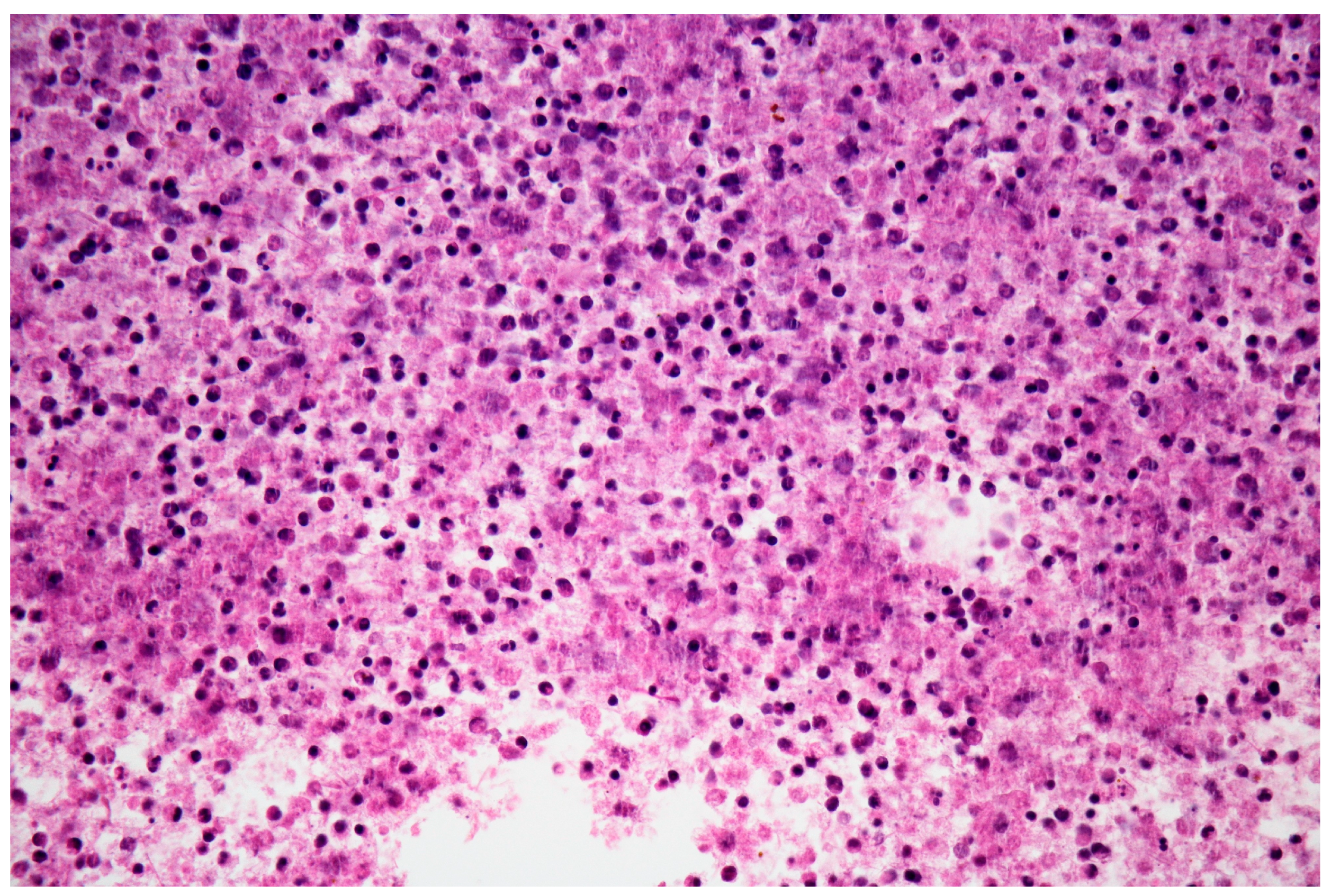 Medicina 58 01165 g007 Medicina 58 01165 g007