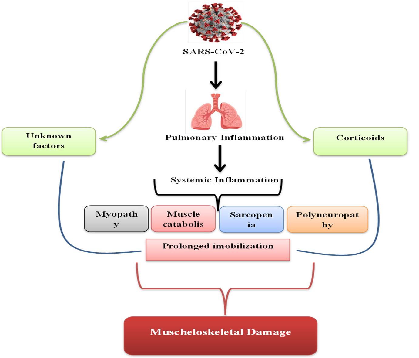 Medicina 58 01199 g001