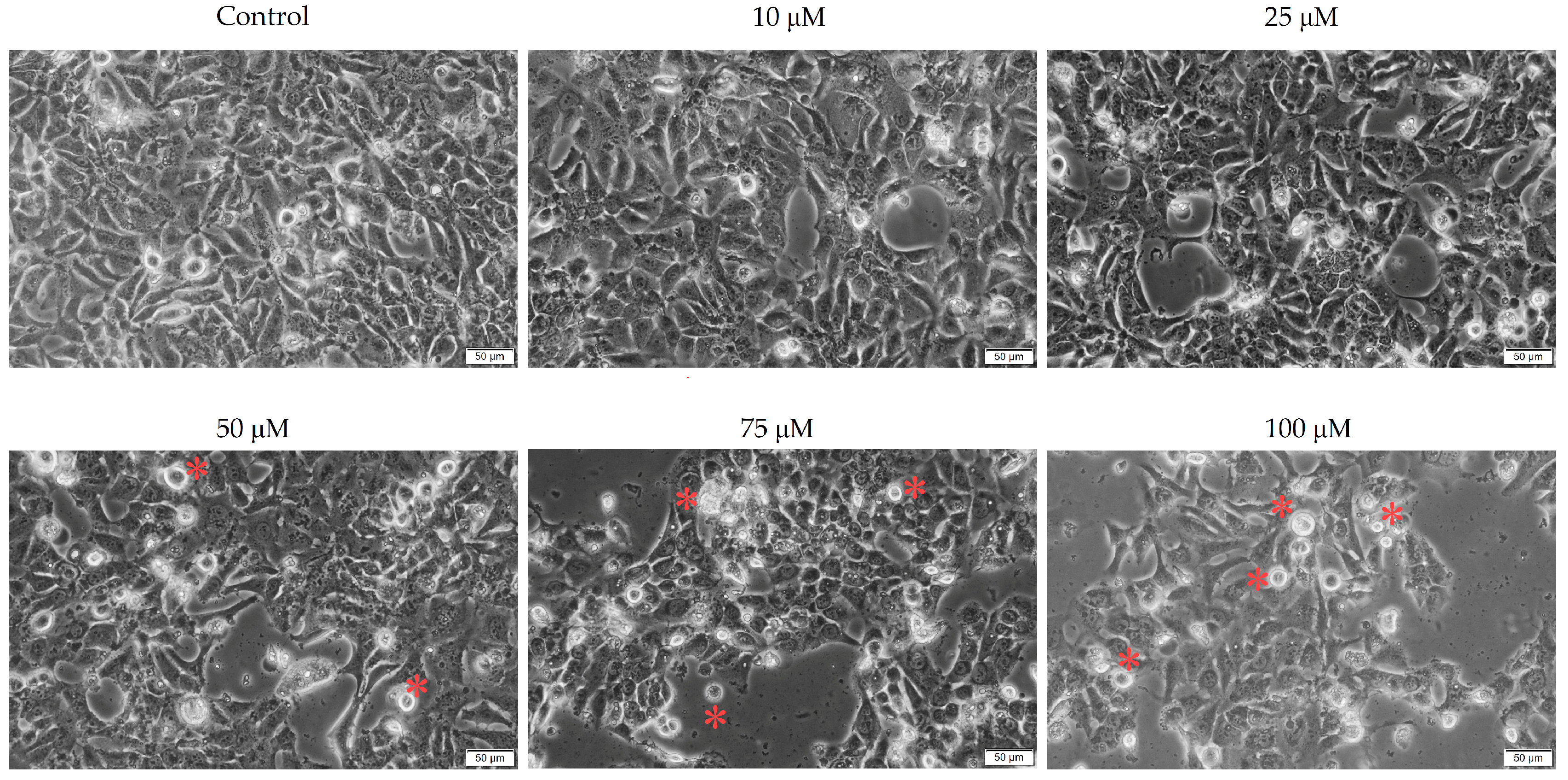 Medicina 58 01289 g002