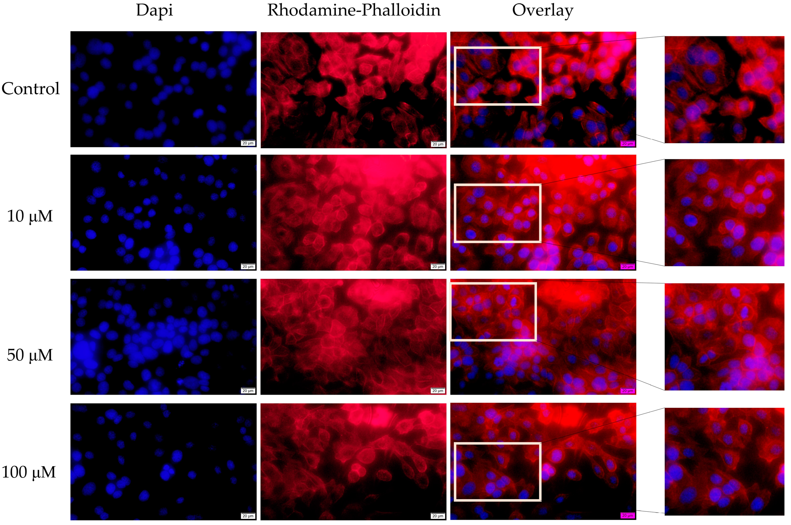 Medicina 58 01289 g007