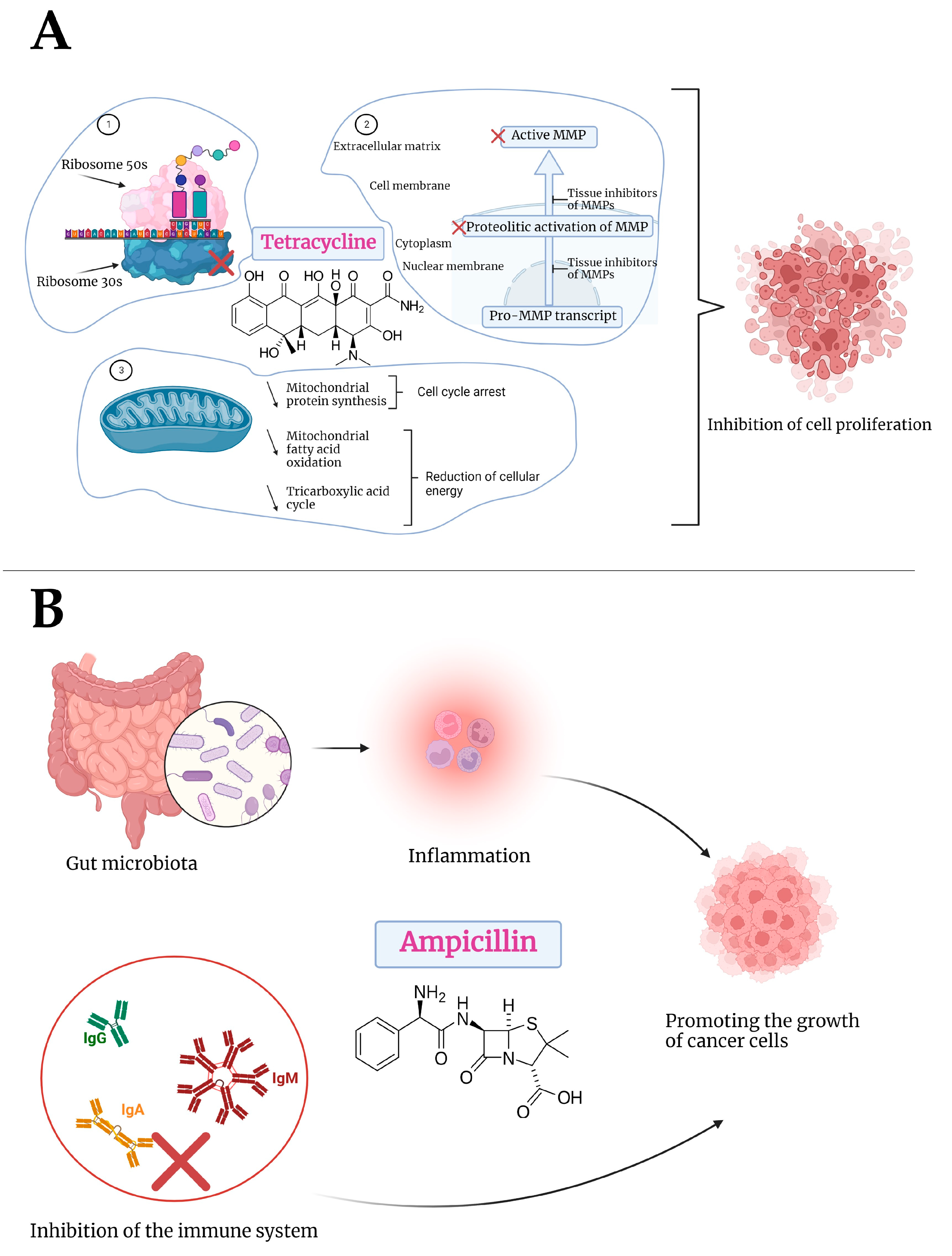 Medicina 58 01289 g008