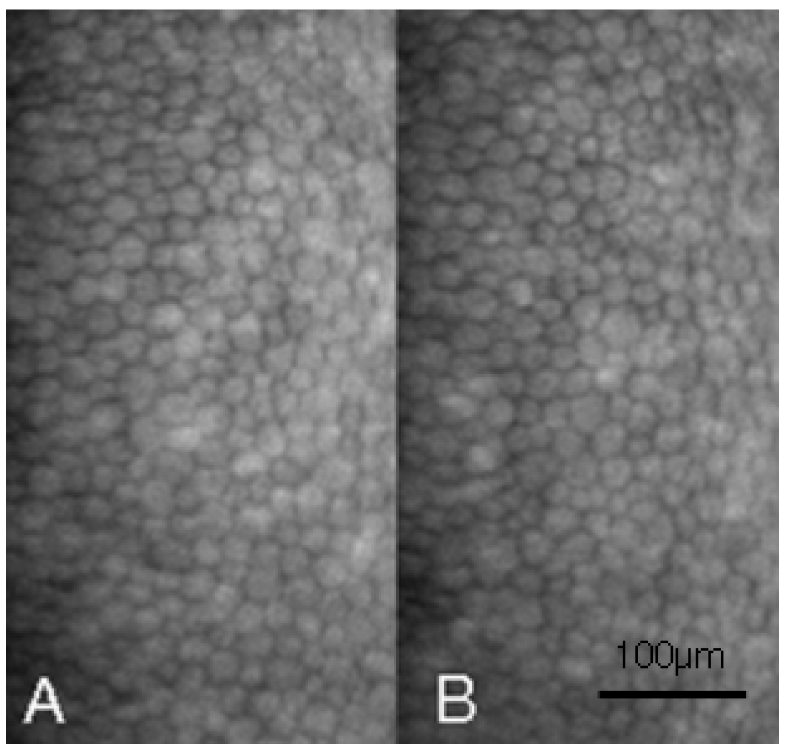 Medicina 58 01367 g002 Medicina 58 01367 g002