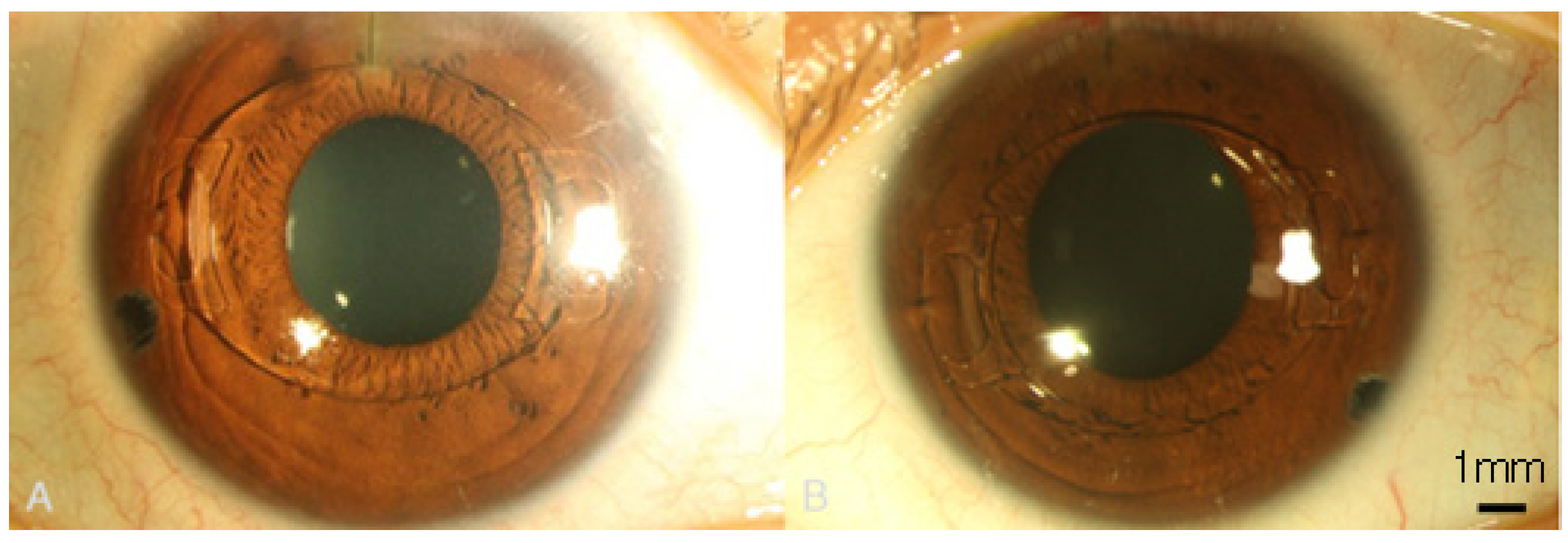 Medicina 58 01367 g003 Medicina 58 01367 g003