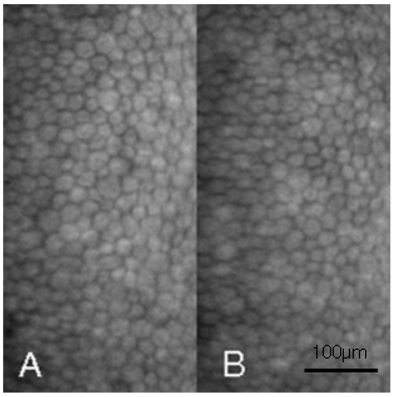 Medicina 58 01367 g004 Medicina 58 01367 g004