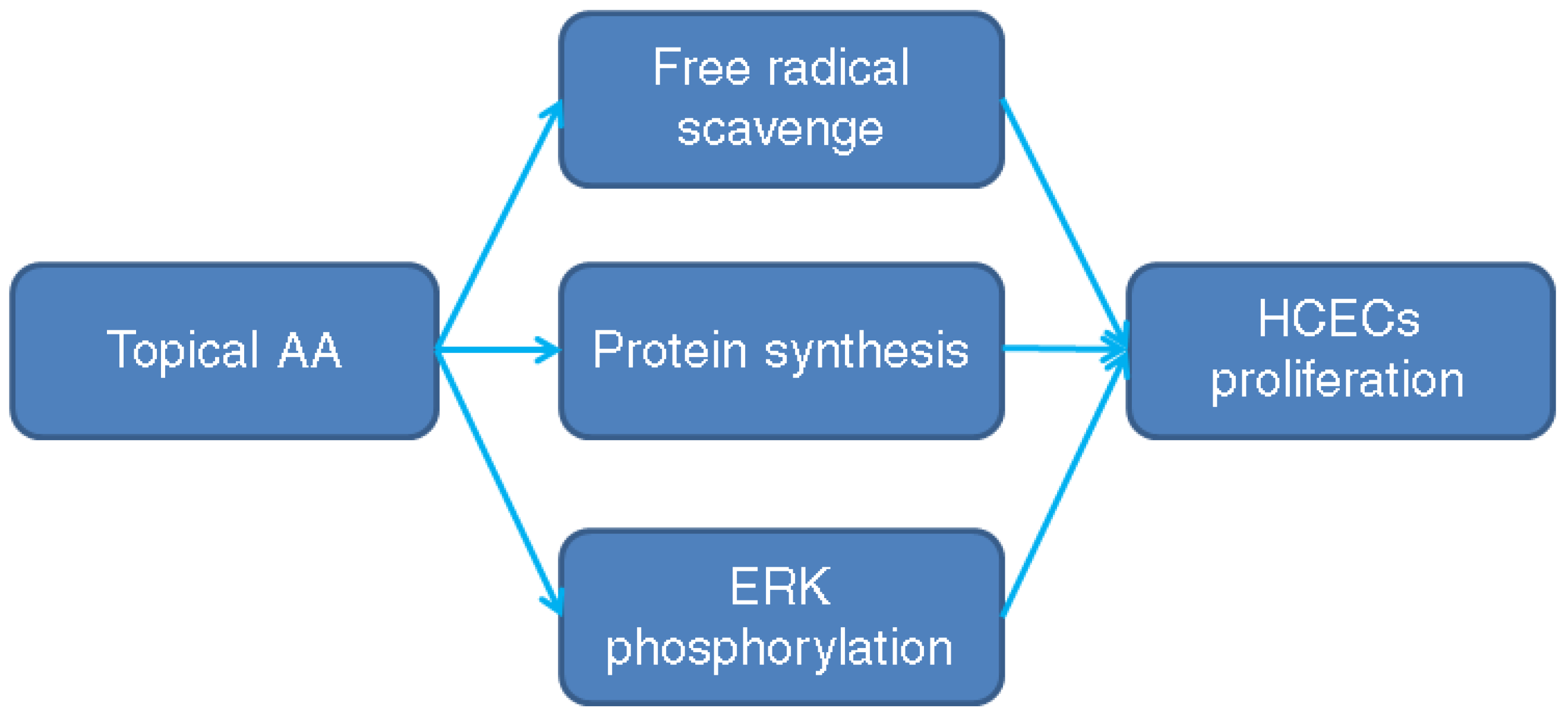 Medicina 58 01367 g006 Medicina 58 01367 g006